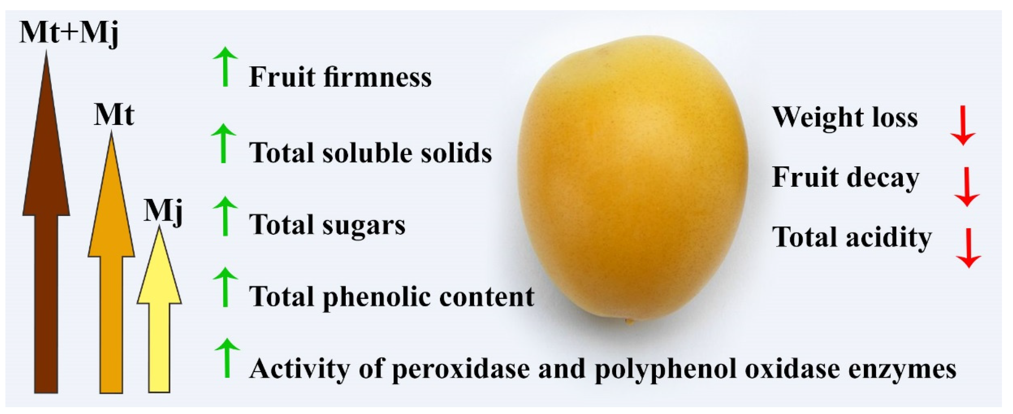 Plants 11 00096 g004 550