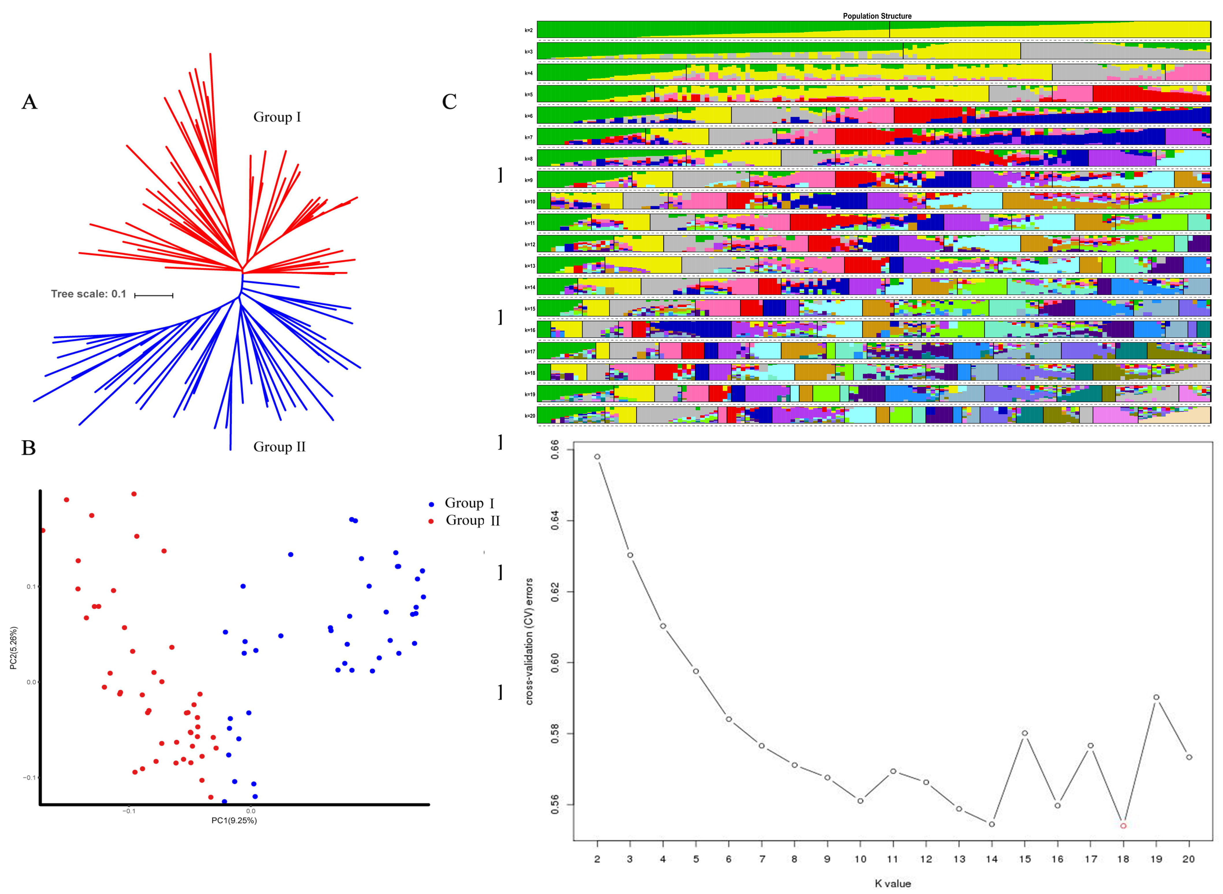 Plants 11 00097 g001 550