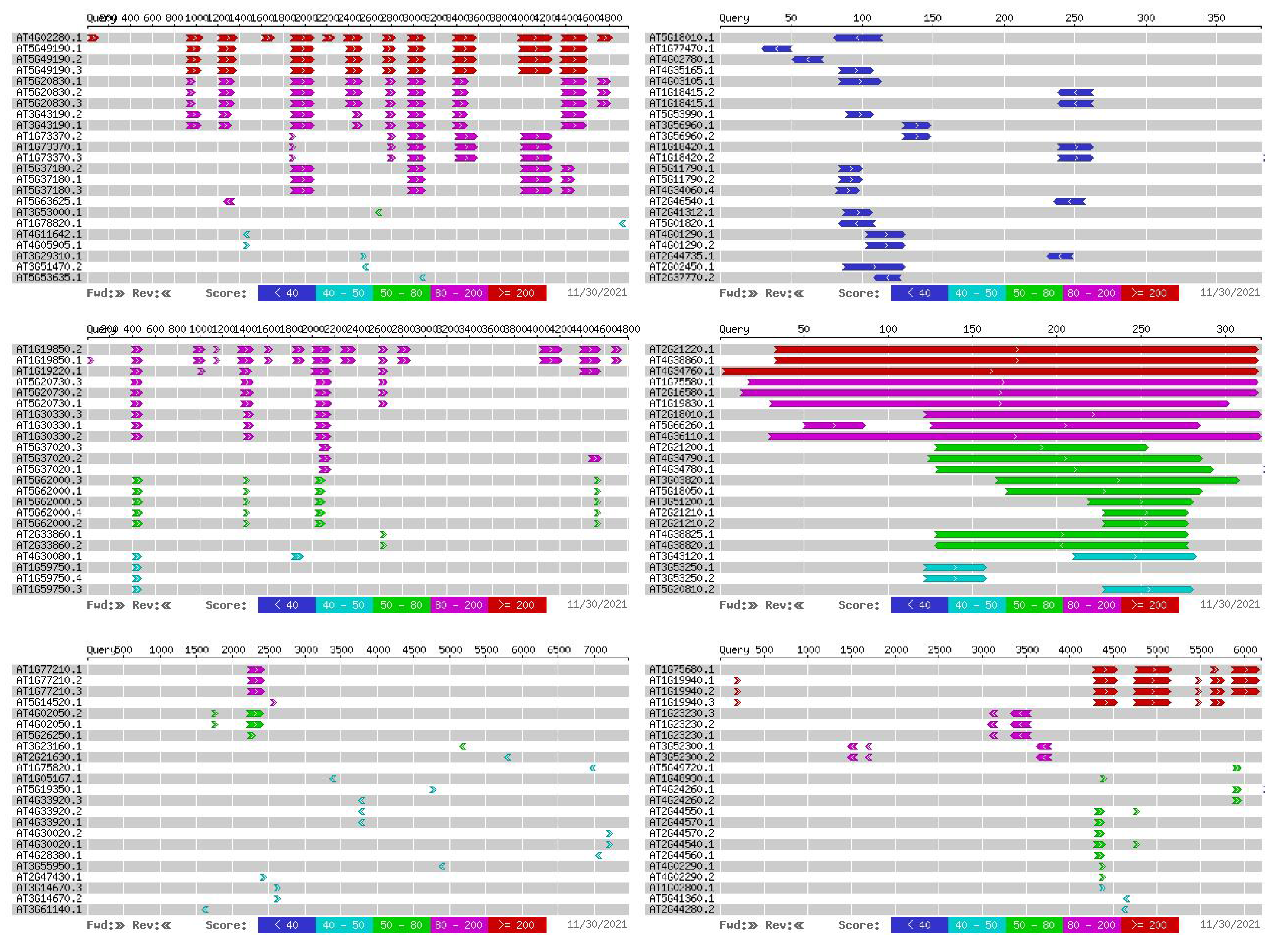 Plants 11 00097 g009 550