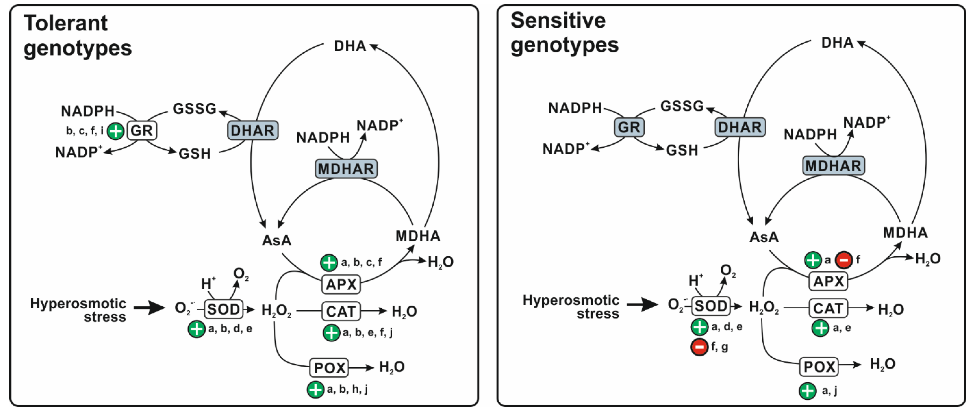 Plants 11 00098 g001