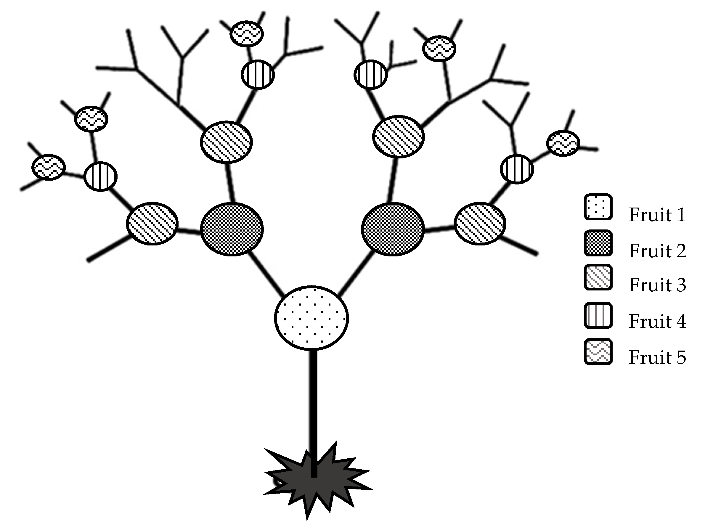 Plants 11 00101 g001 550