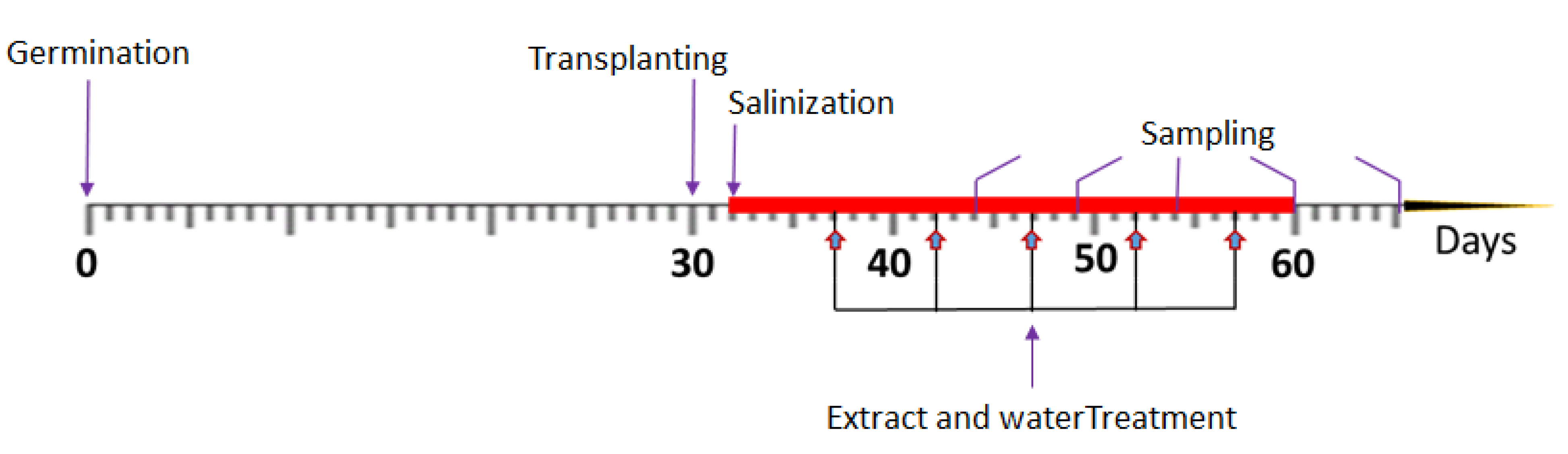 Plants 11 00104 g006