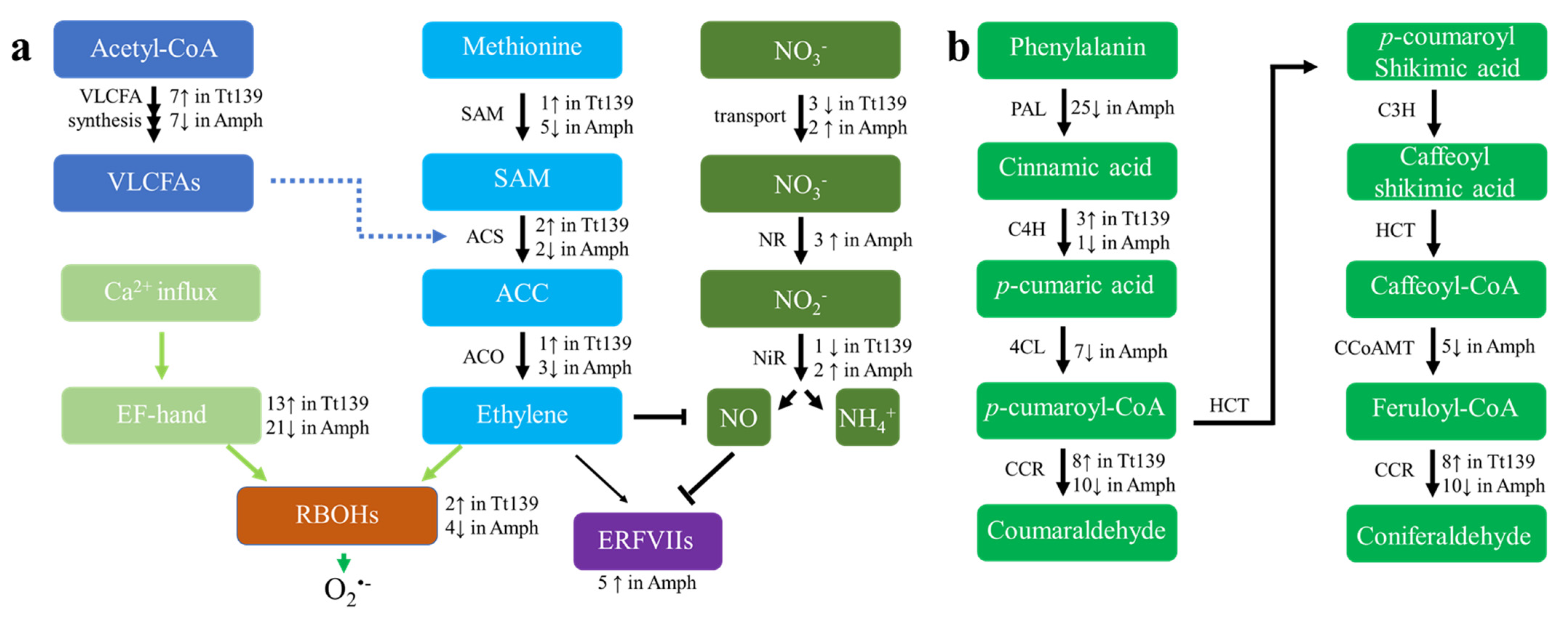 Plants 11 00108 g005