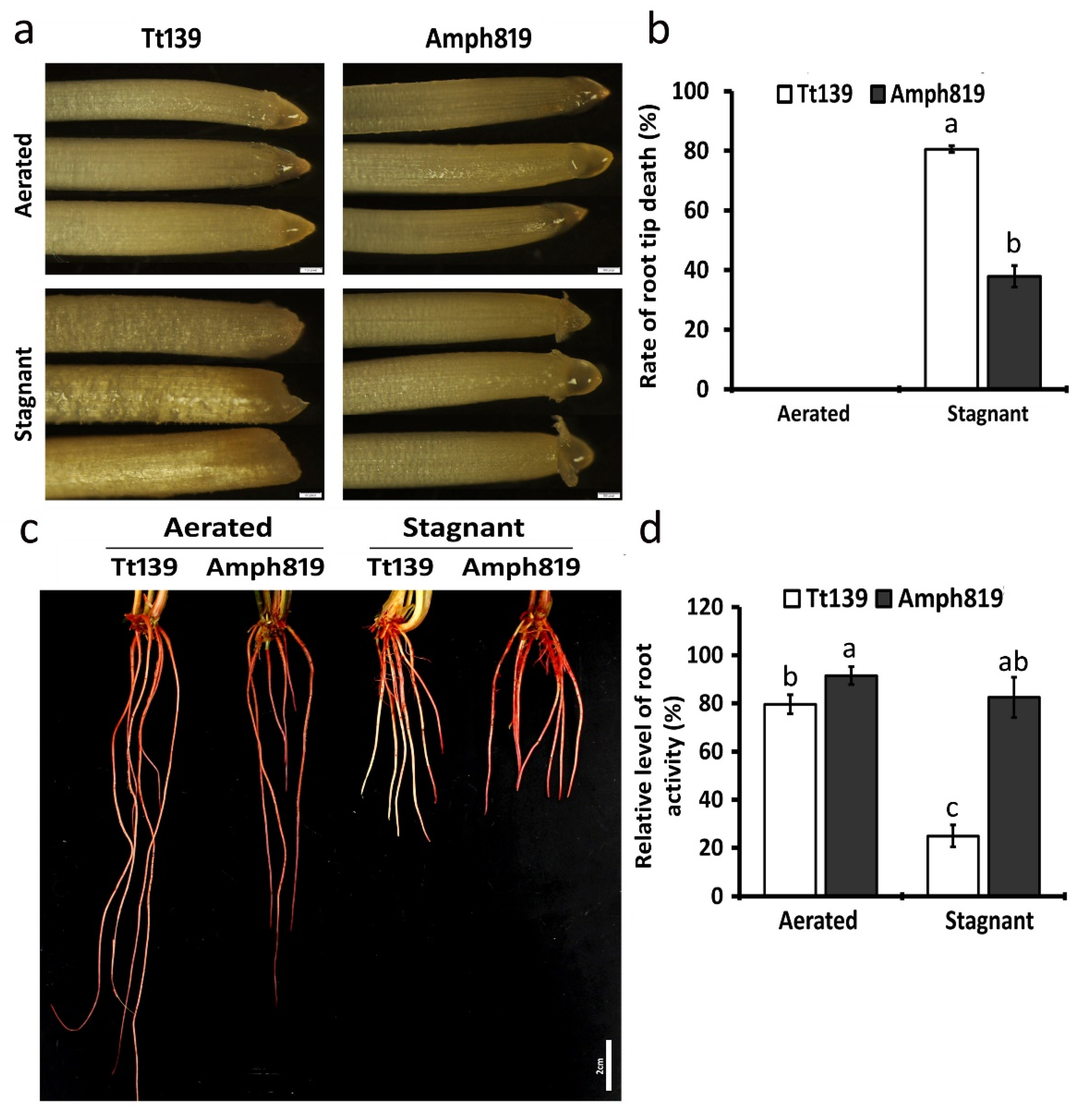 Plants 11 00108 g007