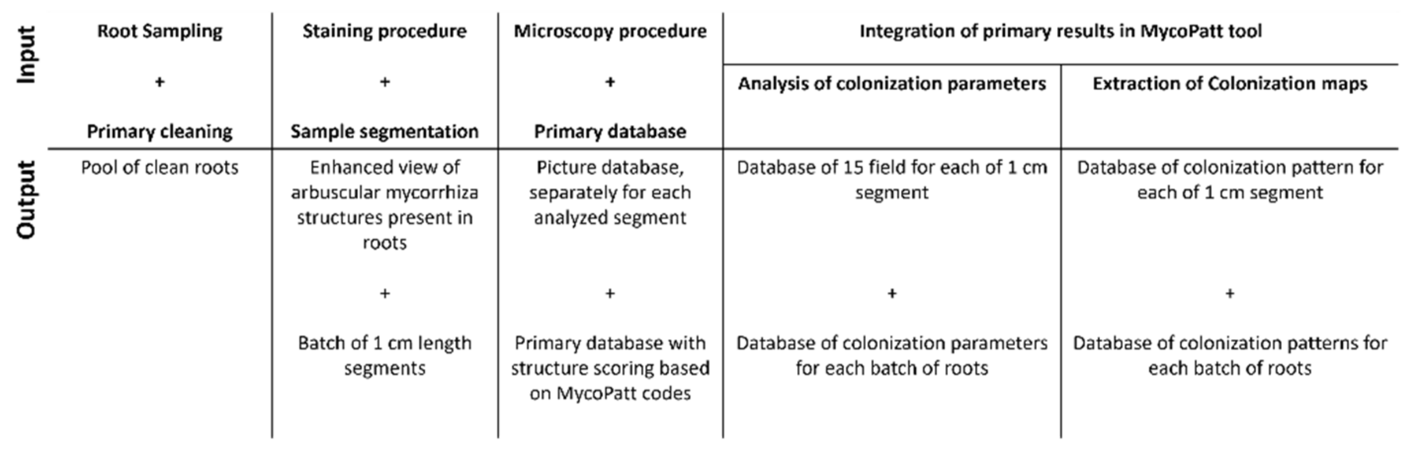 Plants 11 00112 g006