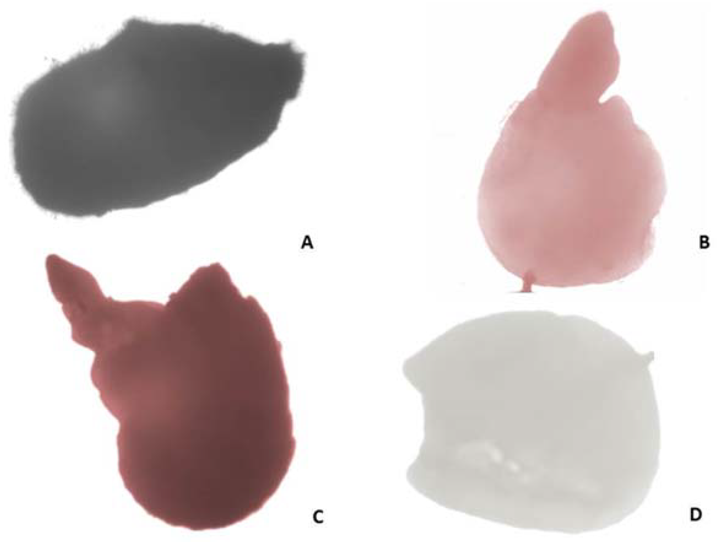 Plants 11 00114 g003