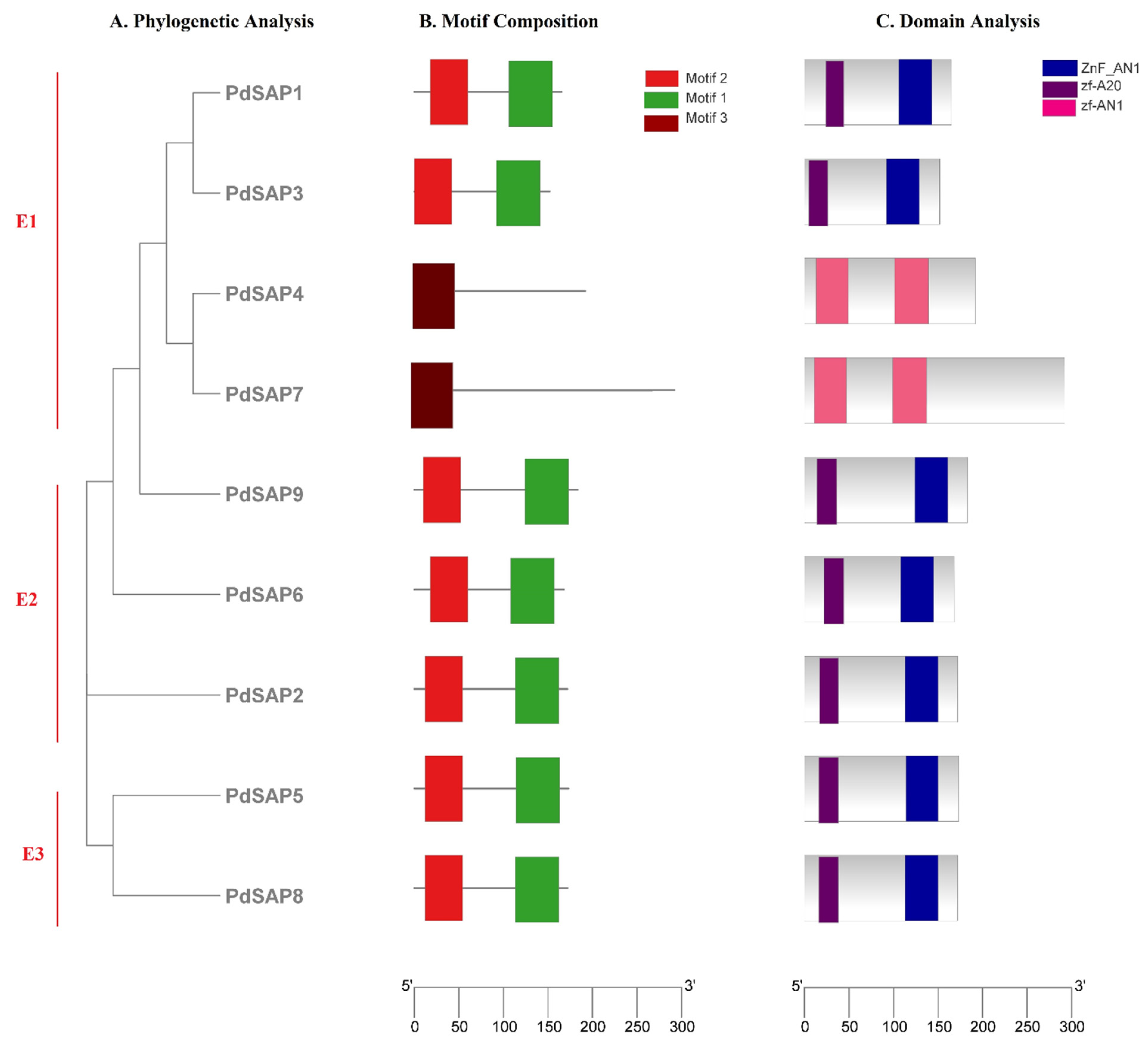 Plants 11 00117 g005 550