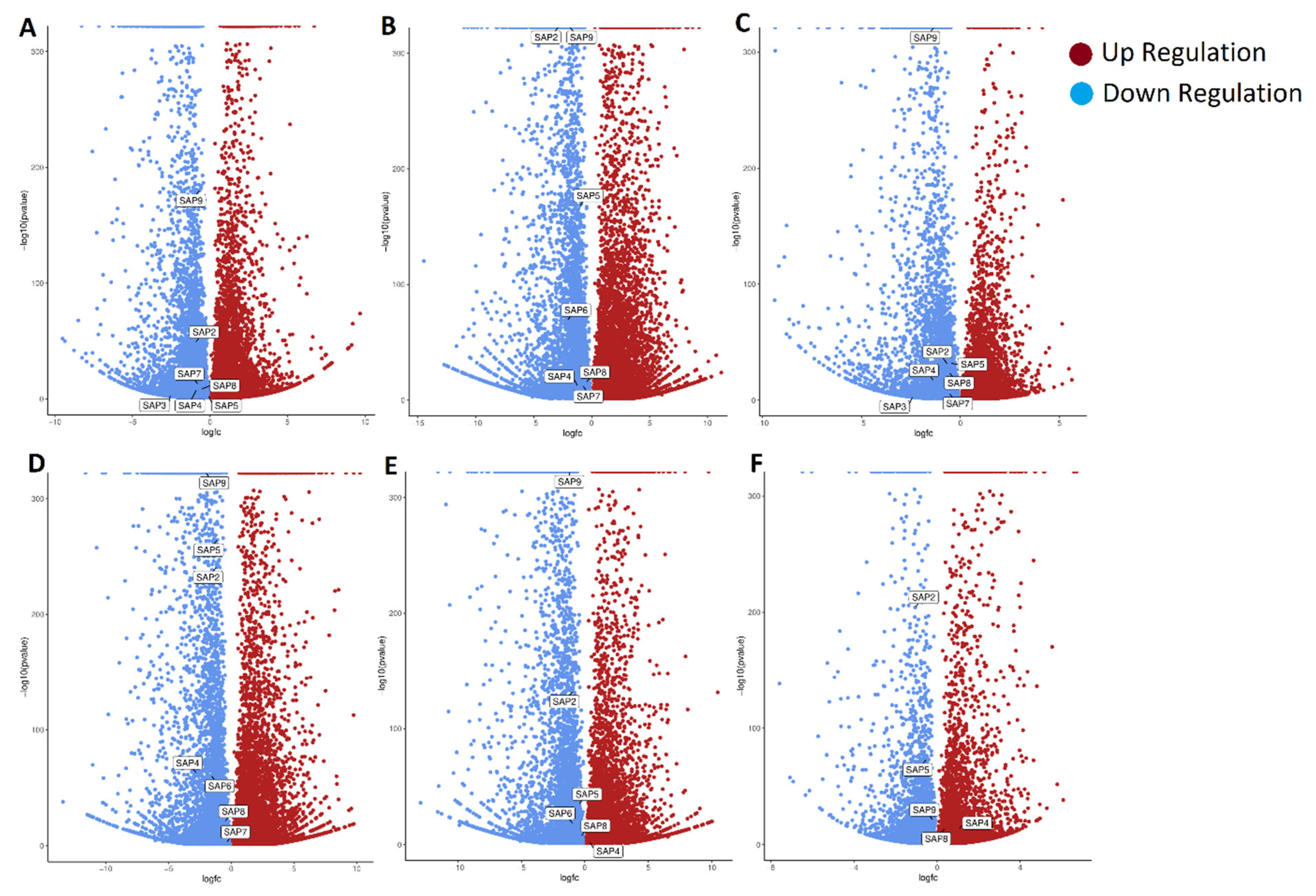 Plants 11 00117 g010 550