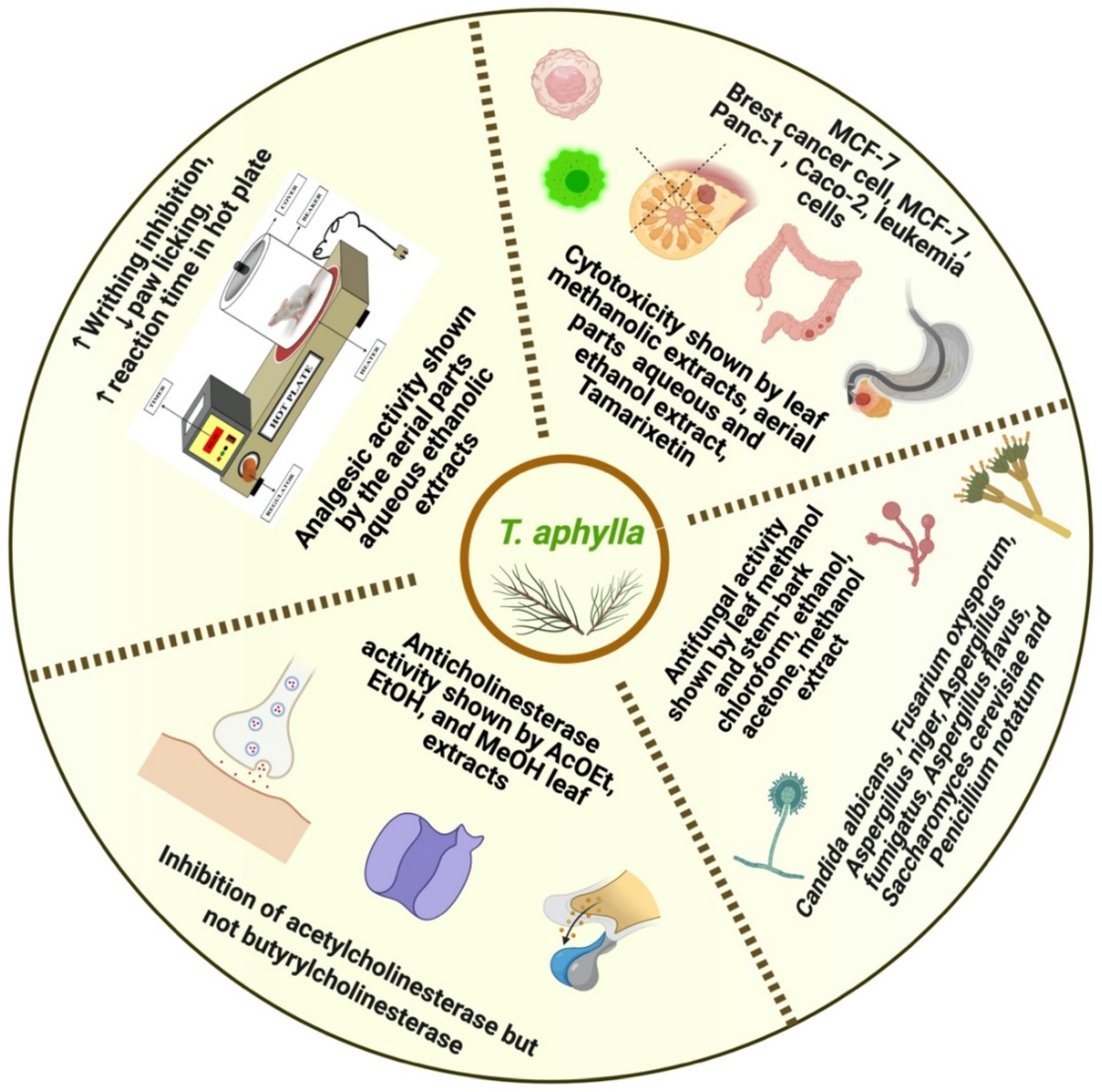 Plants 11 00118 g007