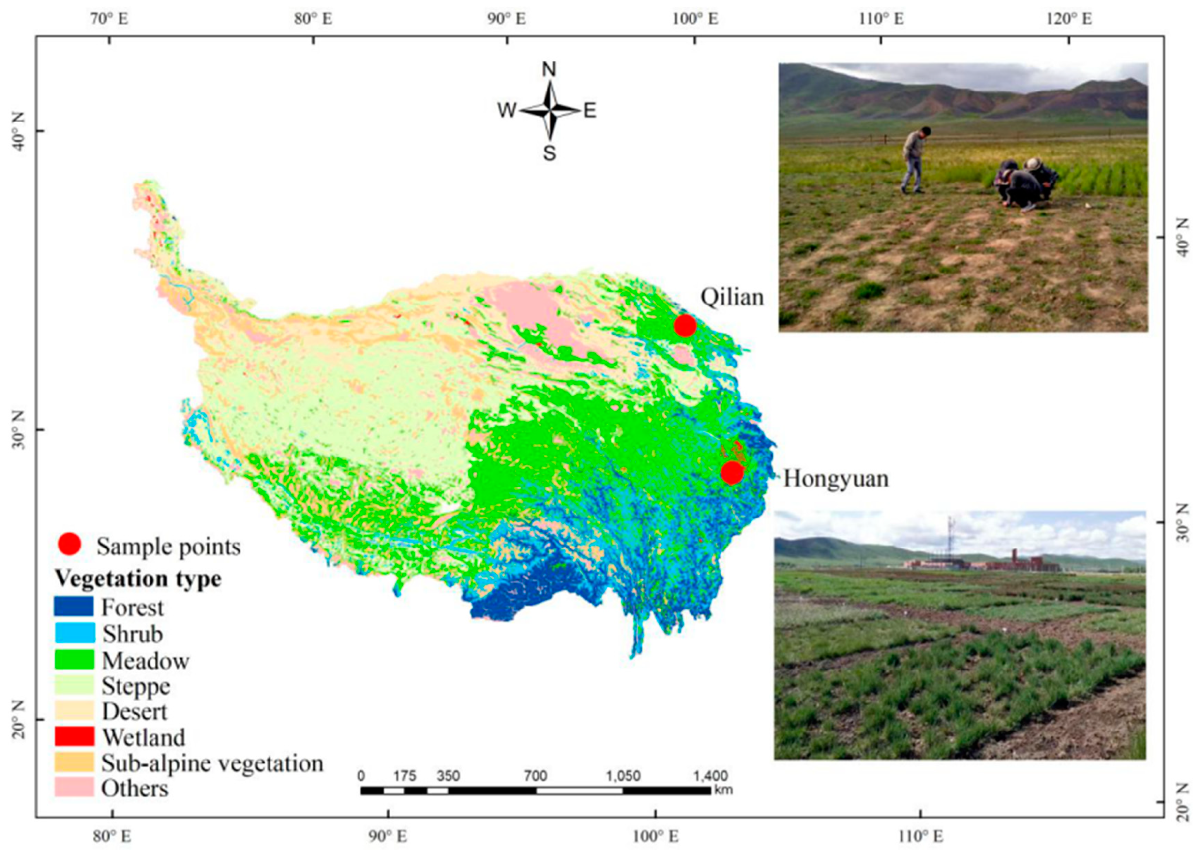 Plants 11 00120 g006