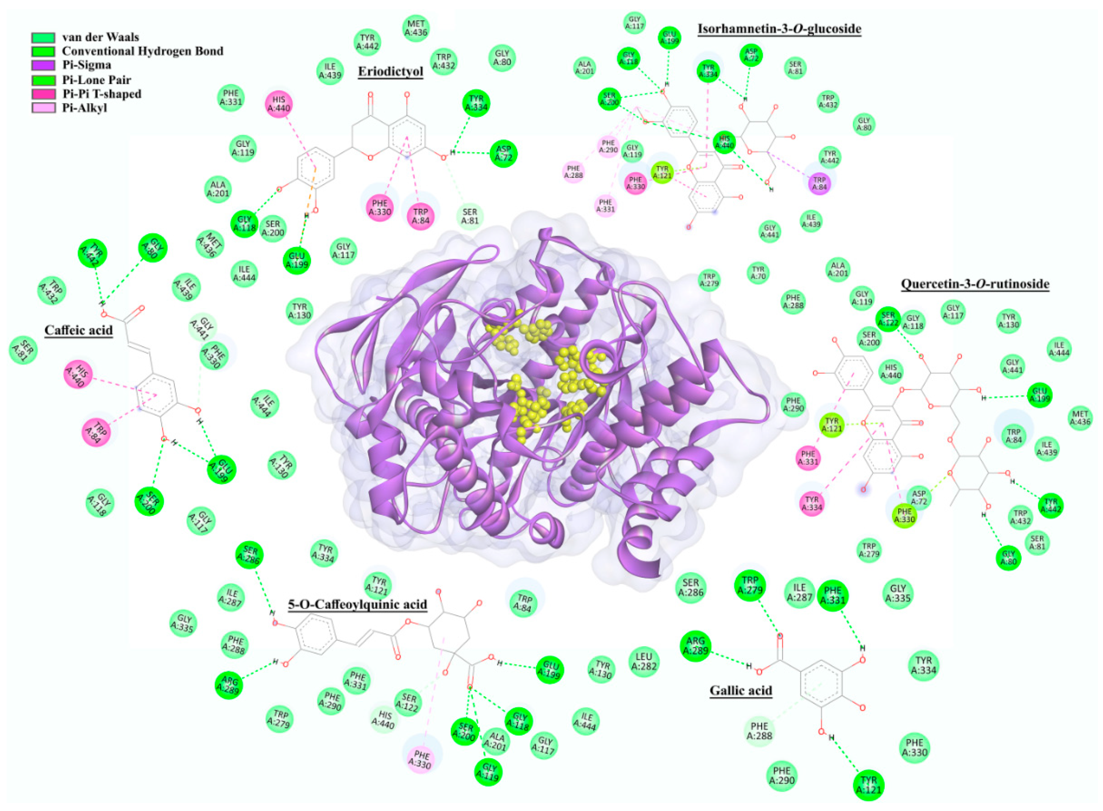 Plants 11 00123 g006 Plants 11 00123 g006