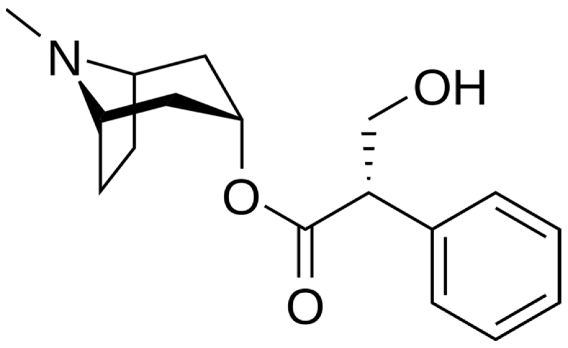 Plants 11 00126 g001
