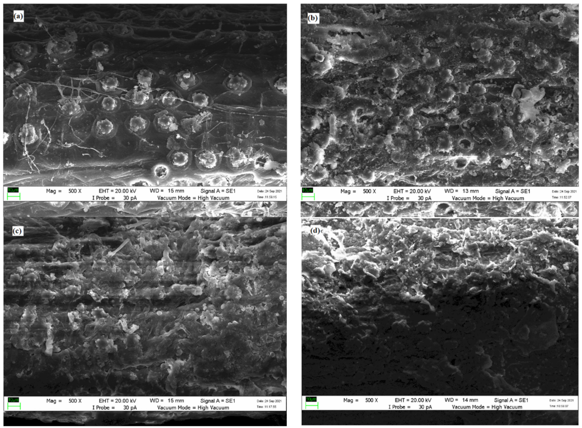 Plants 11 00127 g004 Plants 11 00127 g004