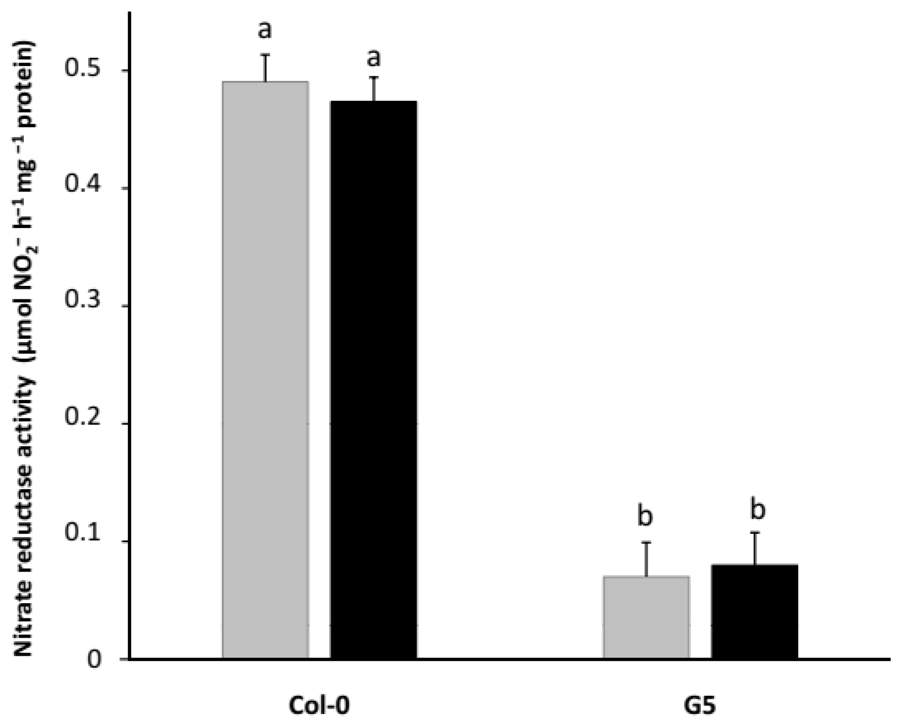 Plants 11 00128 g001