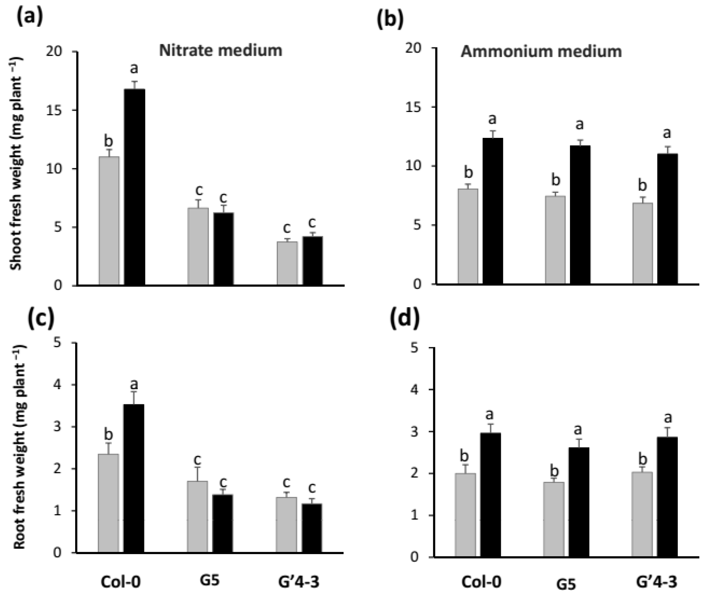 Plants 11 00128 g002