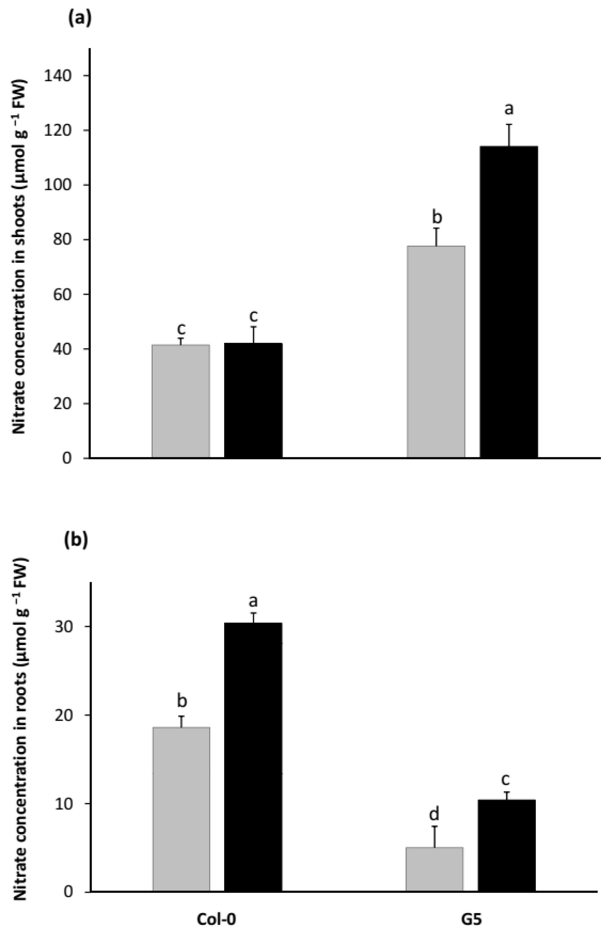 Plants 11 00128 g003
