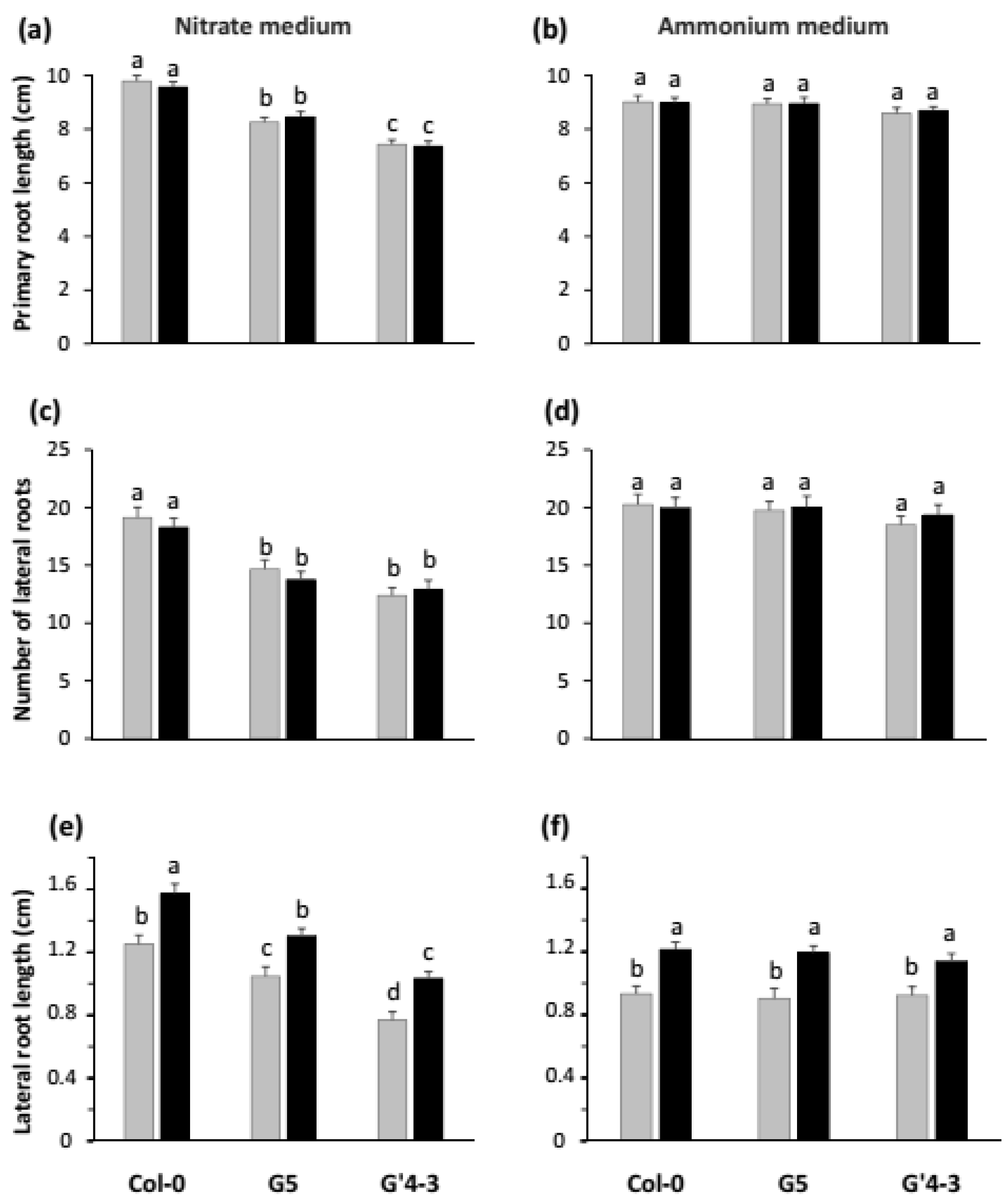 Plants 11 00128 g004