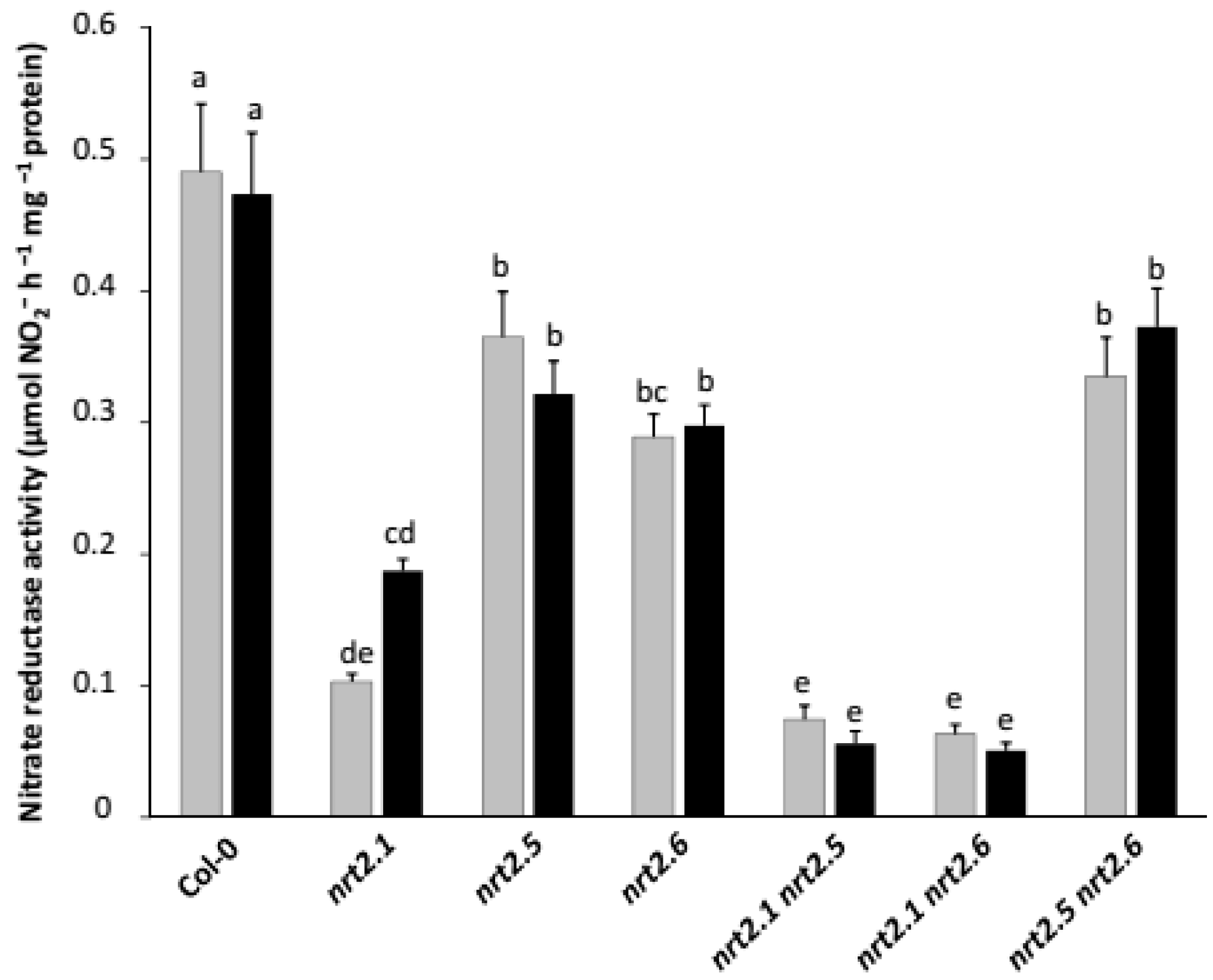 Plants 11 00128 g006