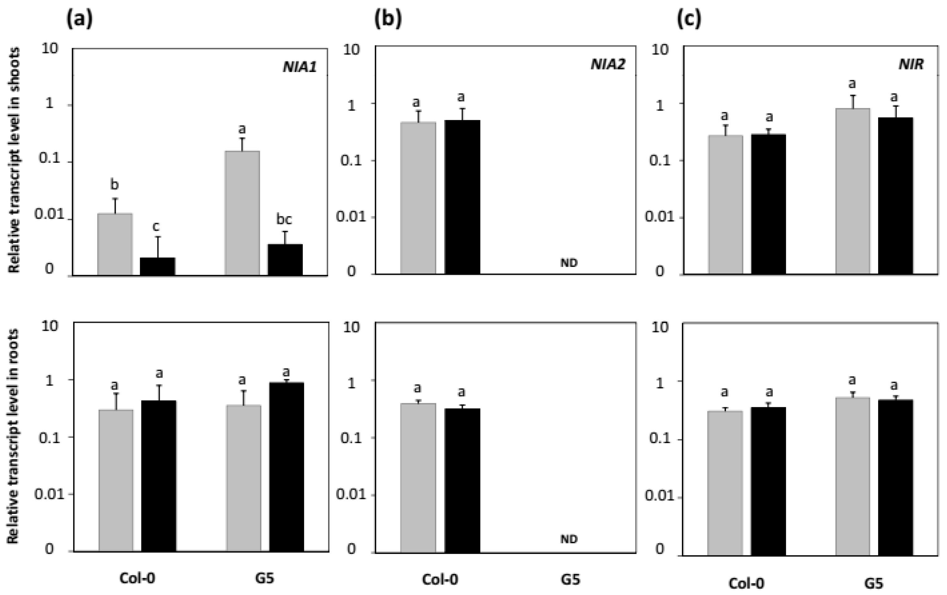 Plants 11 00128 g007