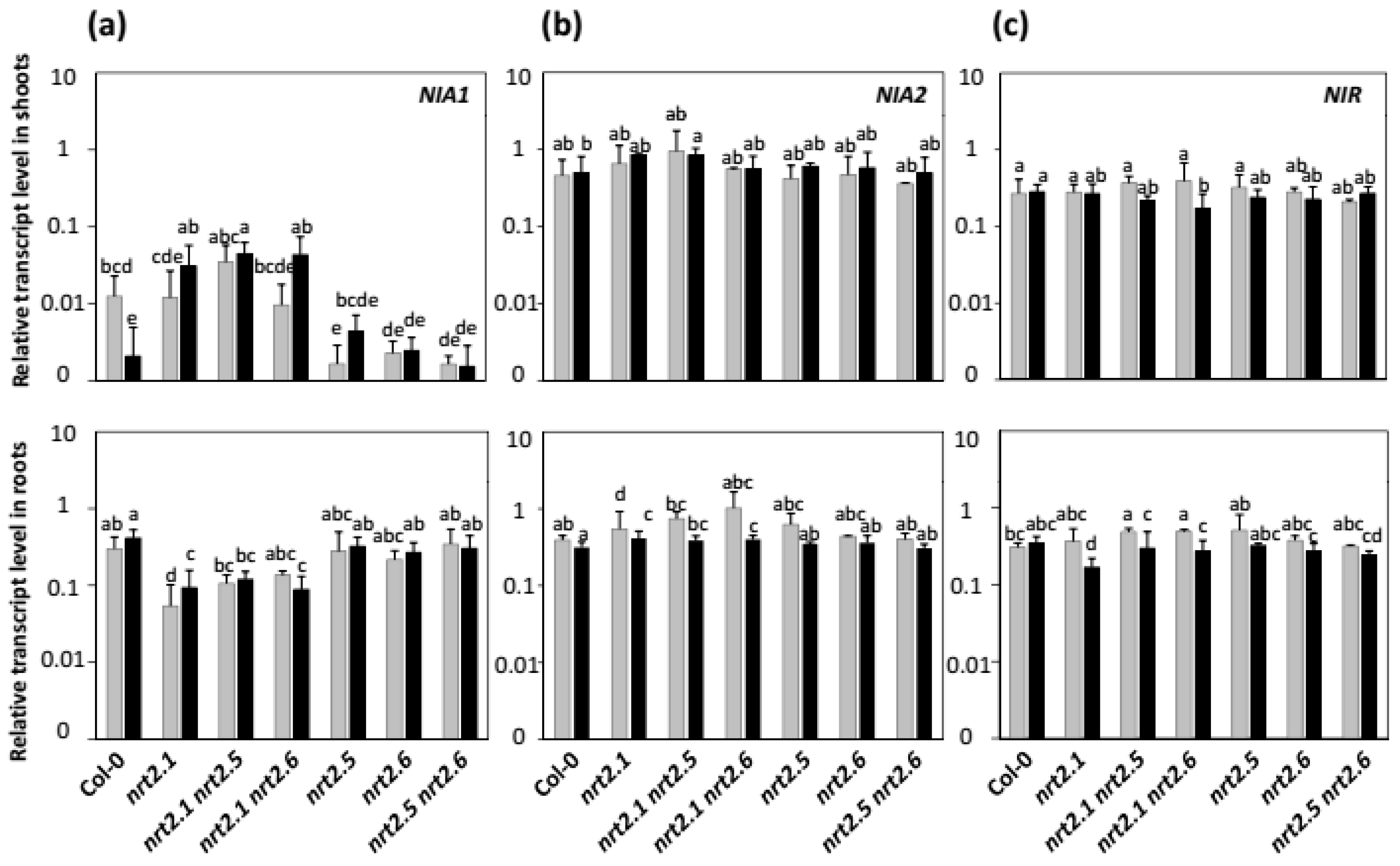 Plants 11 00128 g008