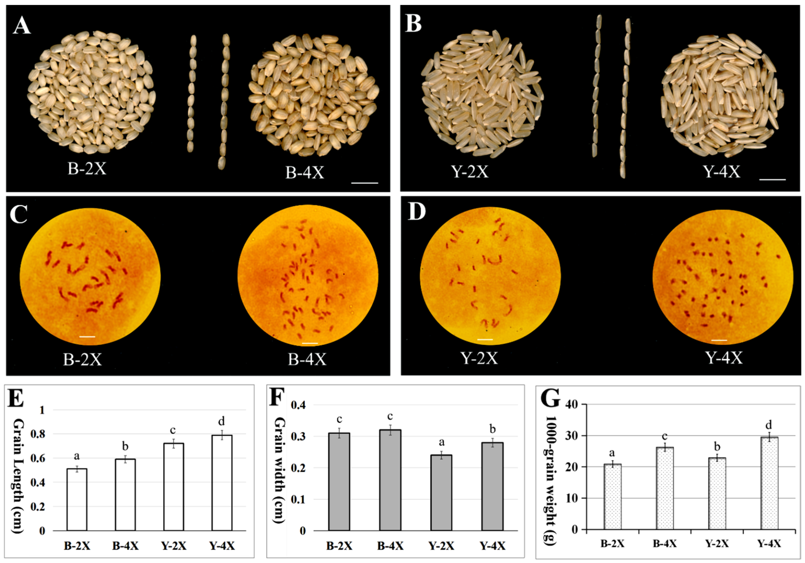 Plants 11 00132 g001