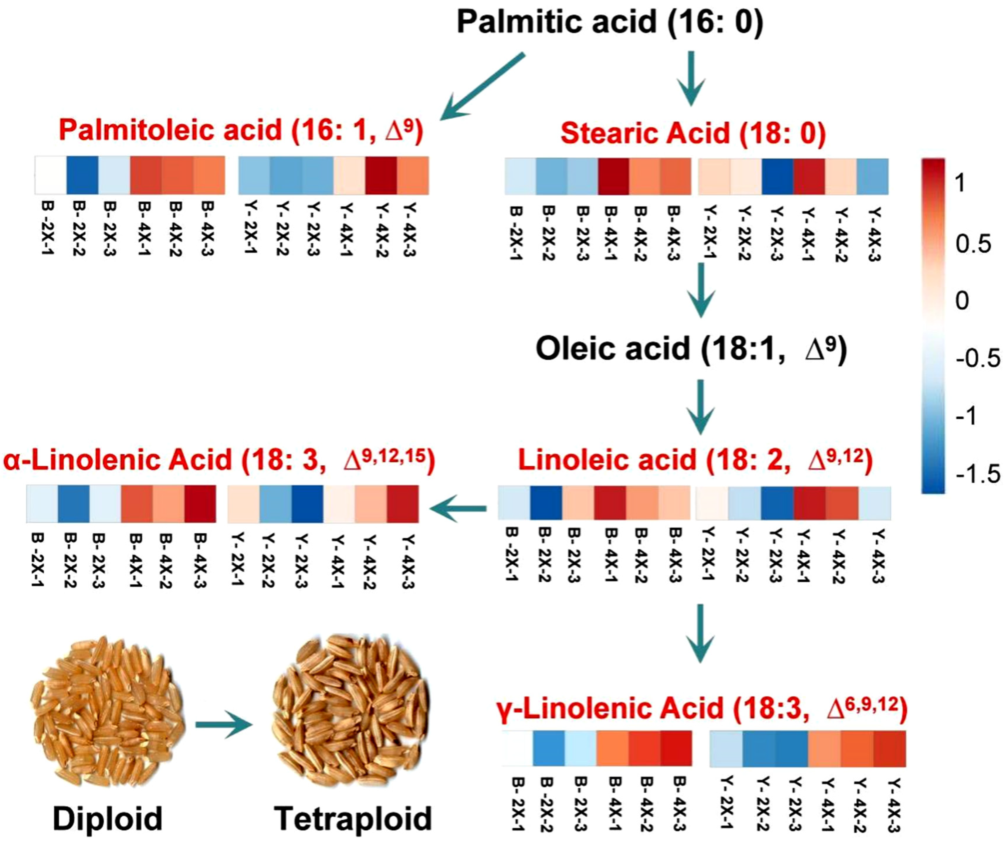 Plants 11 00132 g006