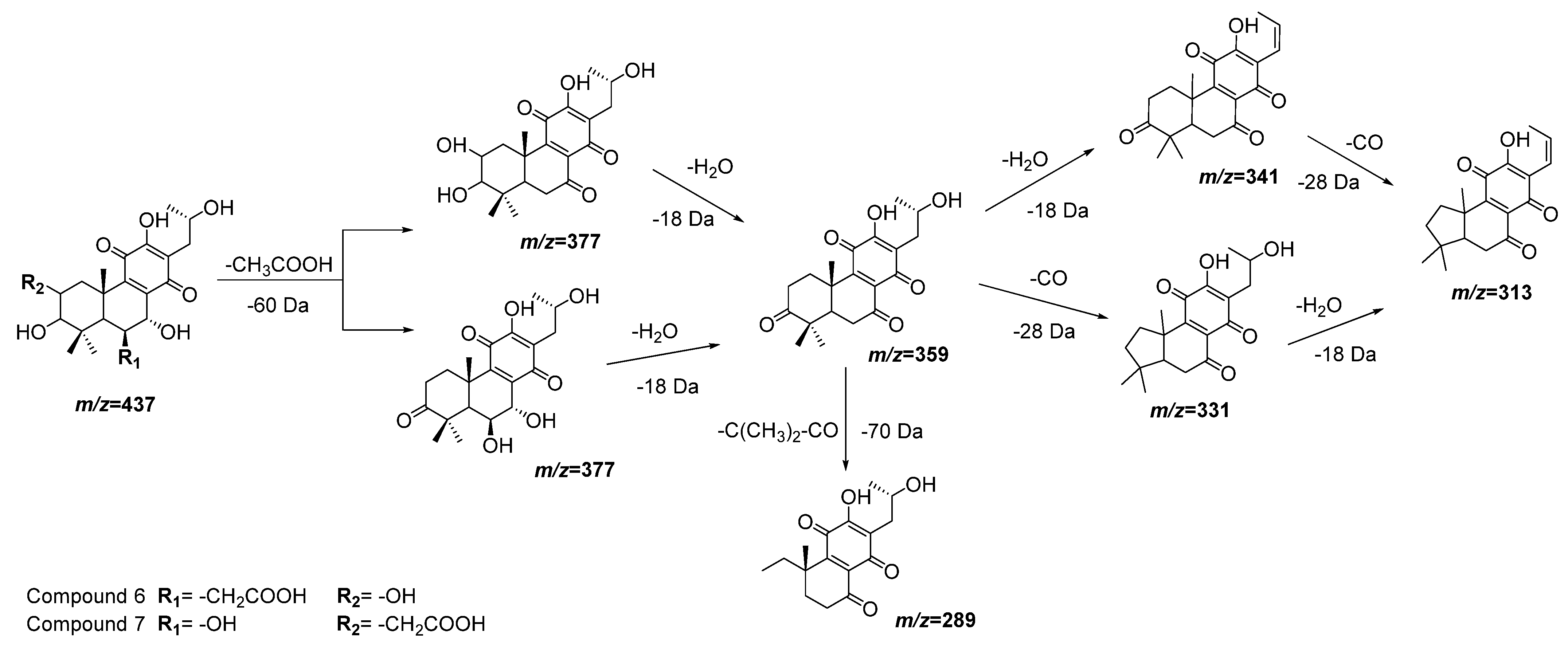 Plants 11 00134 g004