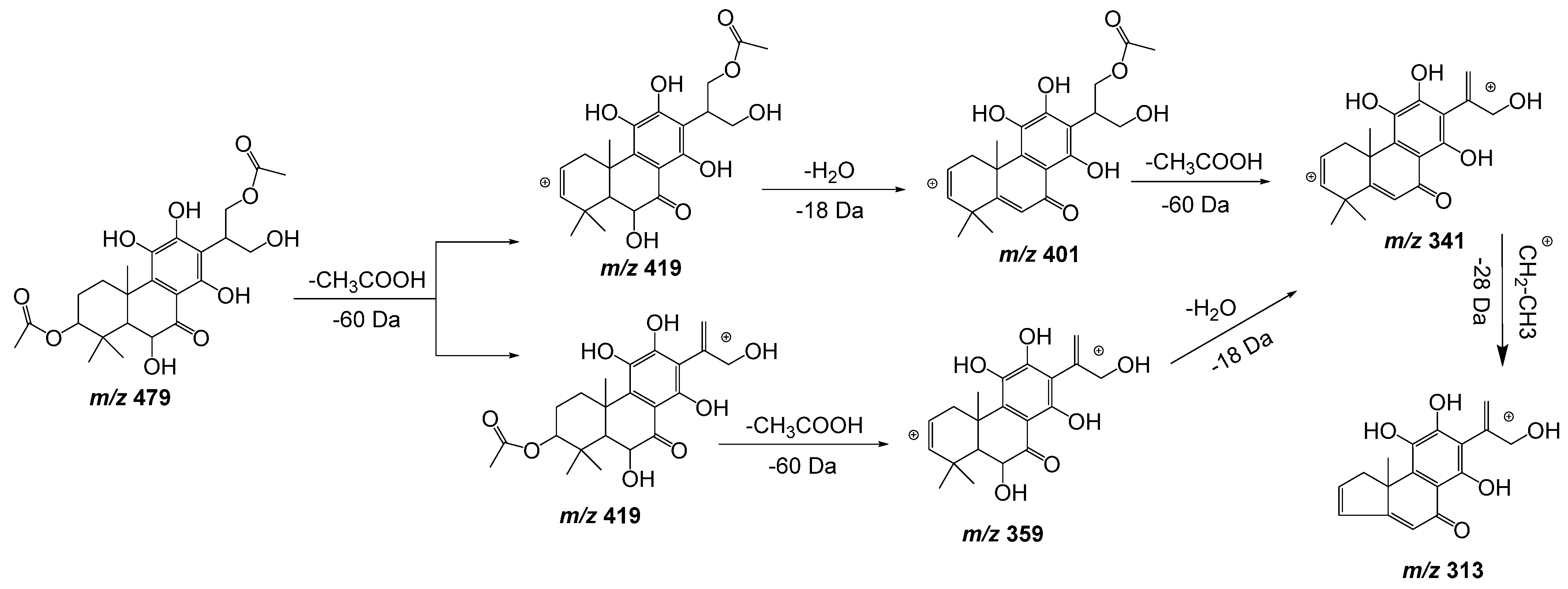 Plants 11 00134 g006