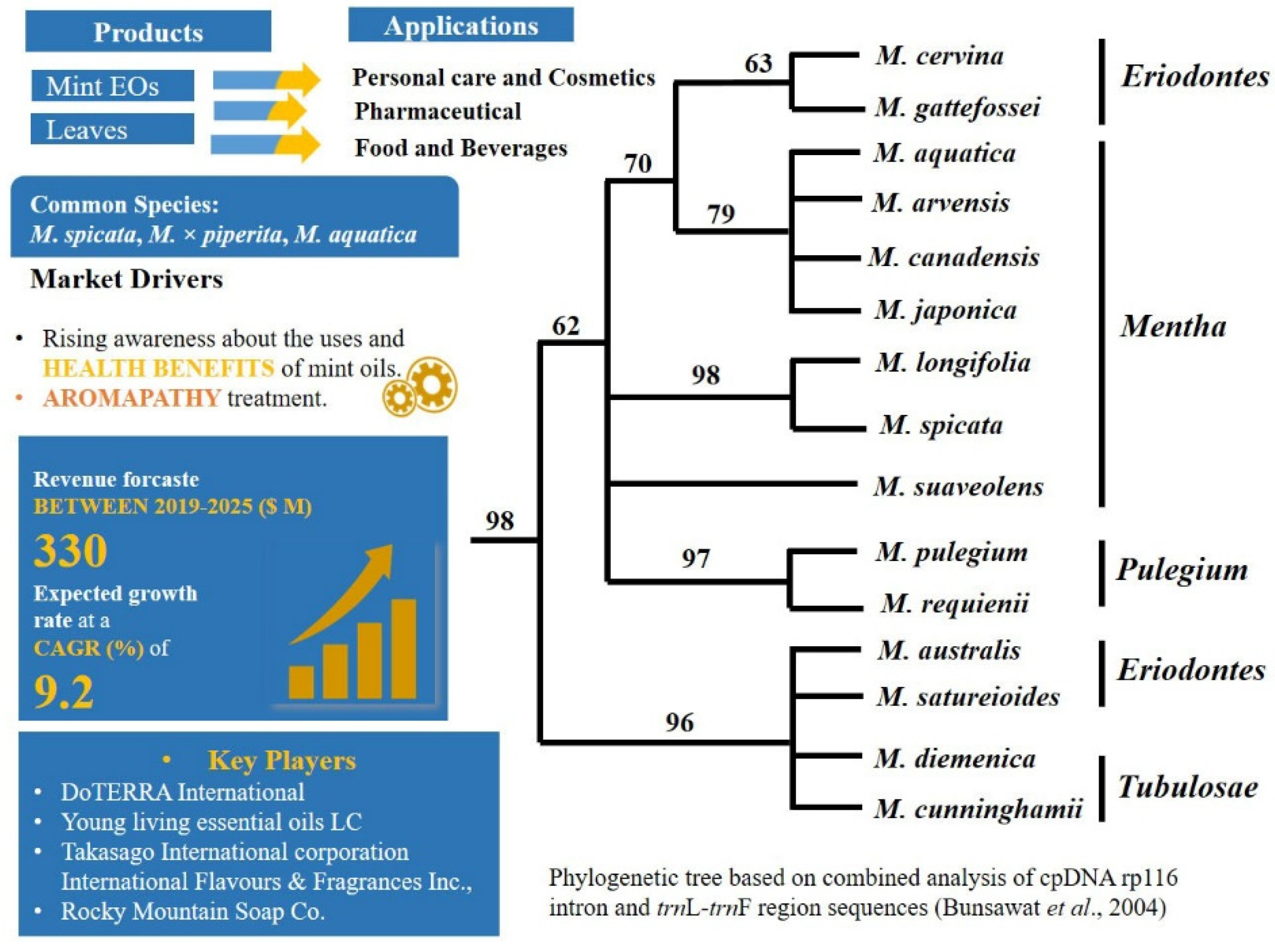 Plants 11 00137 g002