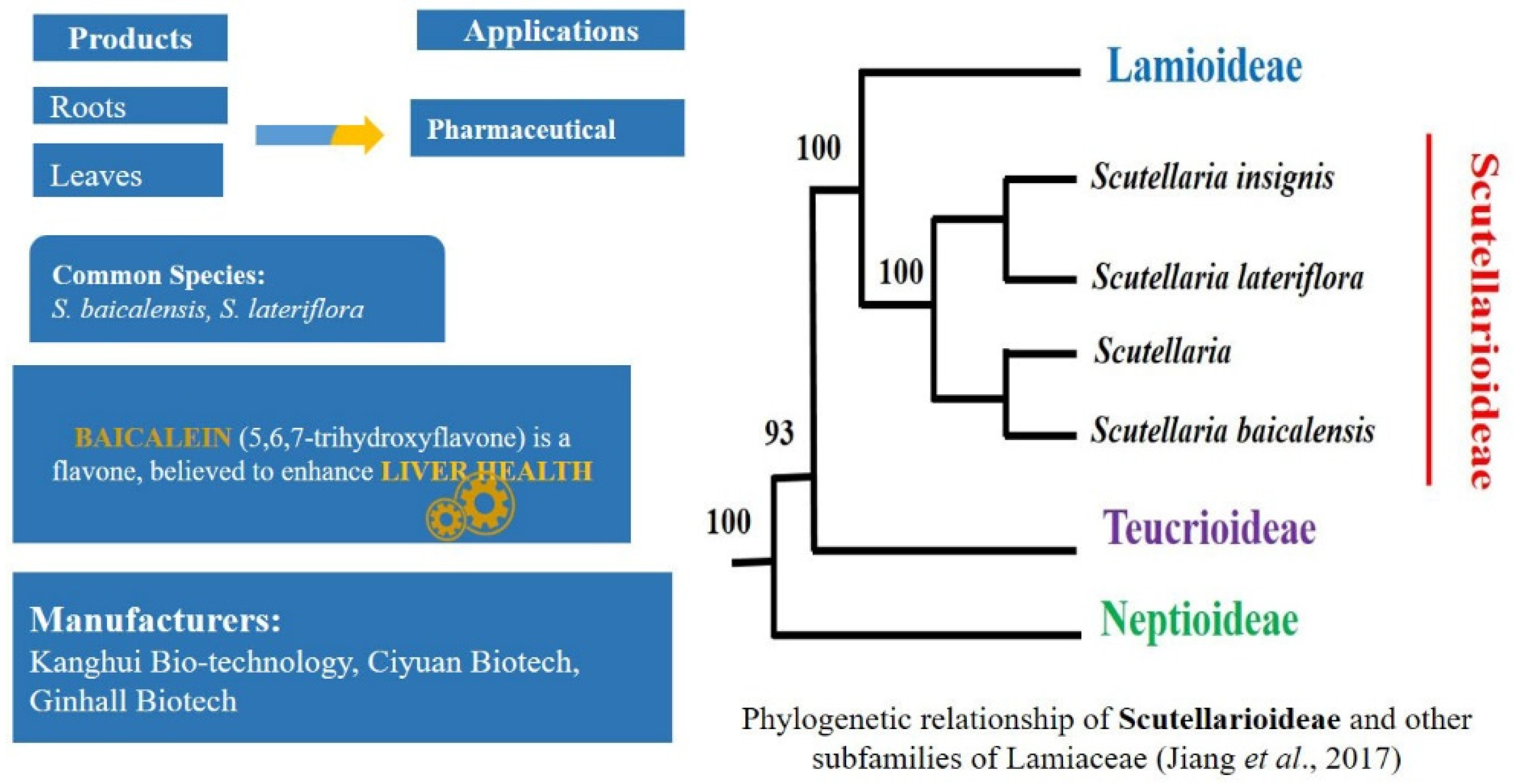 Plants 11 00137 g006
