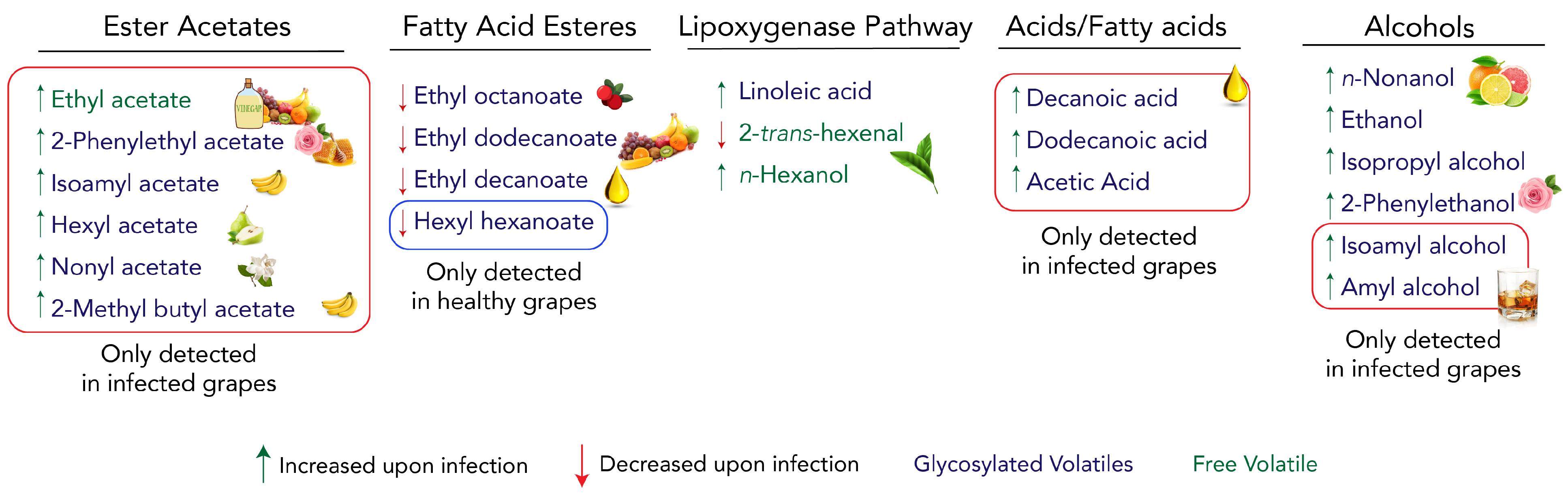 Plants 11 00141 g007