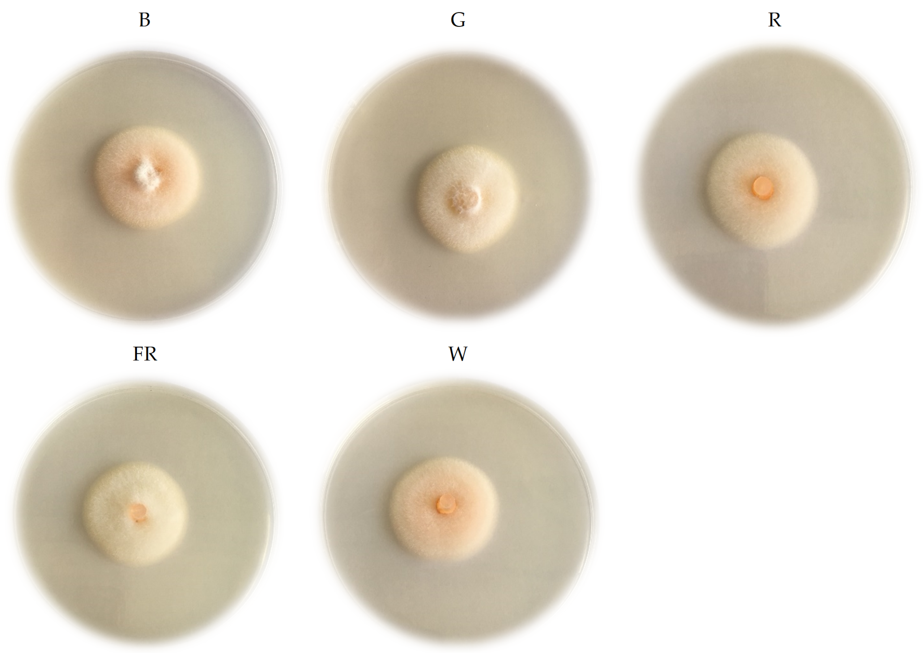 Plants 11 00143 g003 550