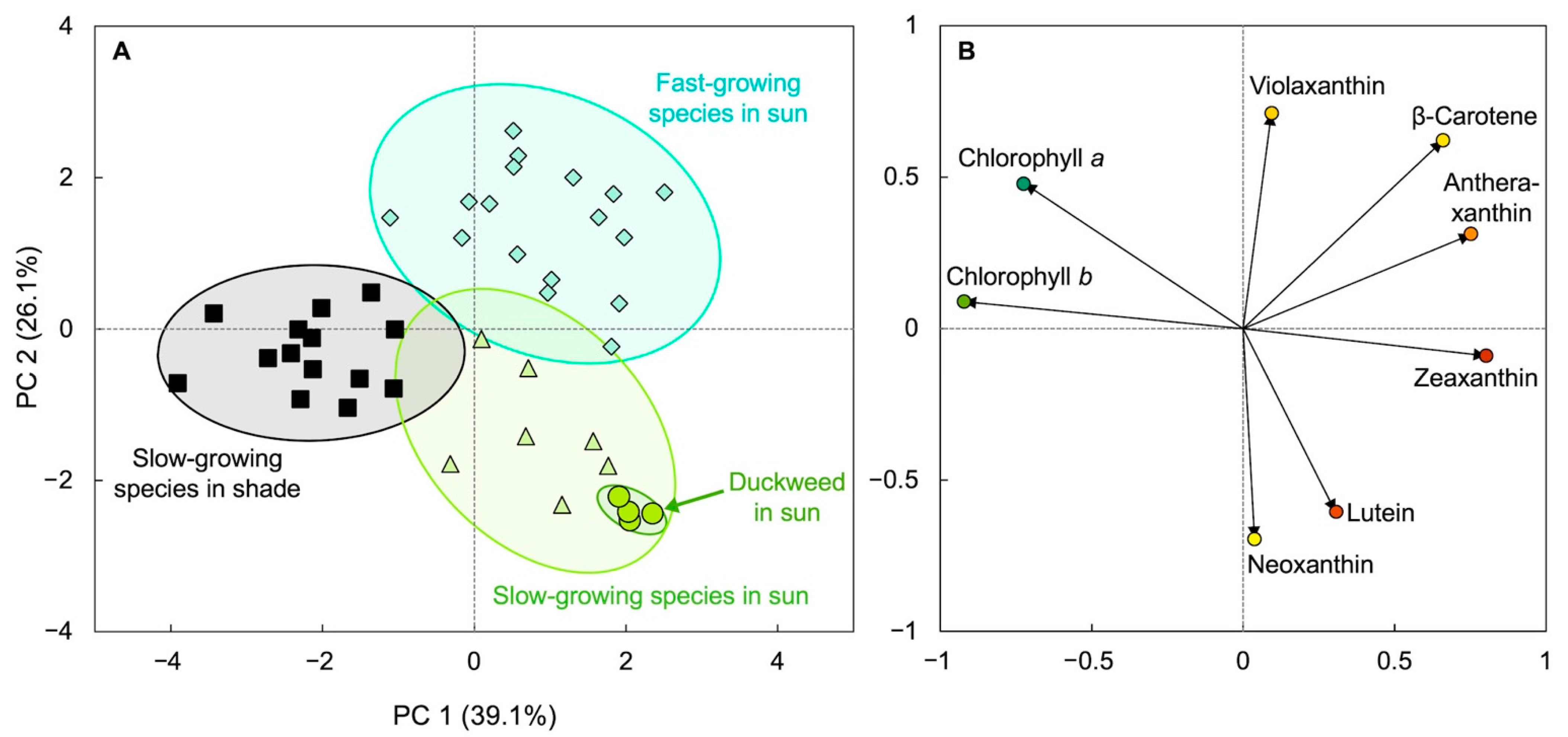 Plants 11 00145 g003 Plants 11 00145 g003