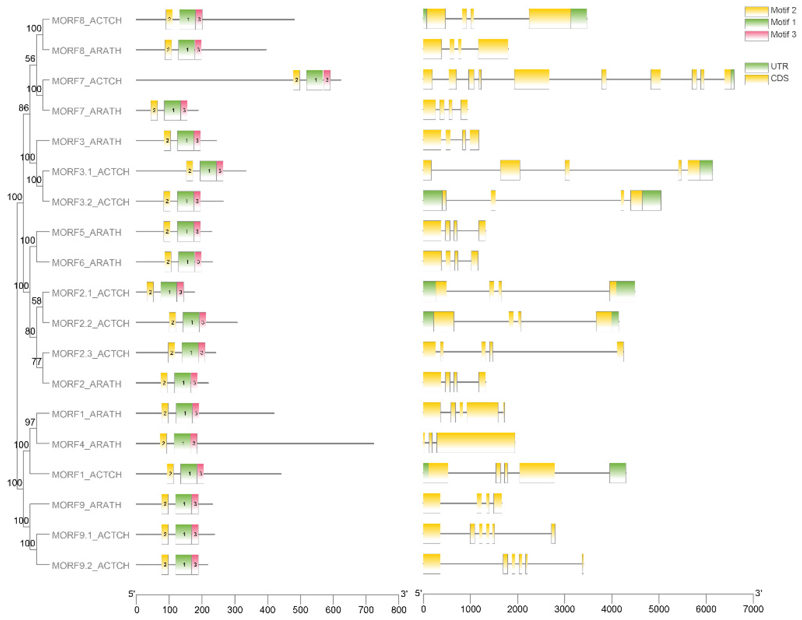 Plants 11 00146 g002