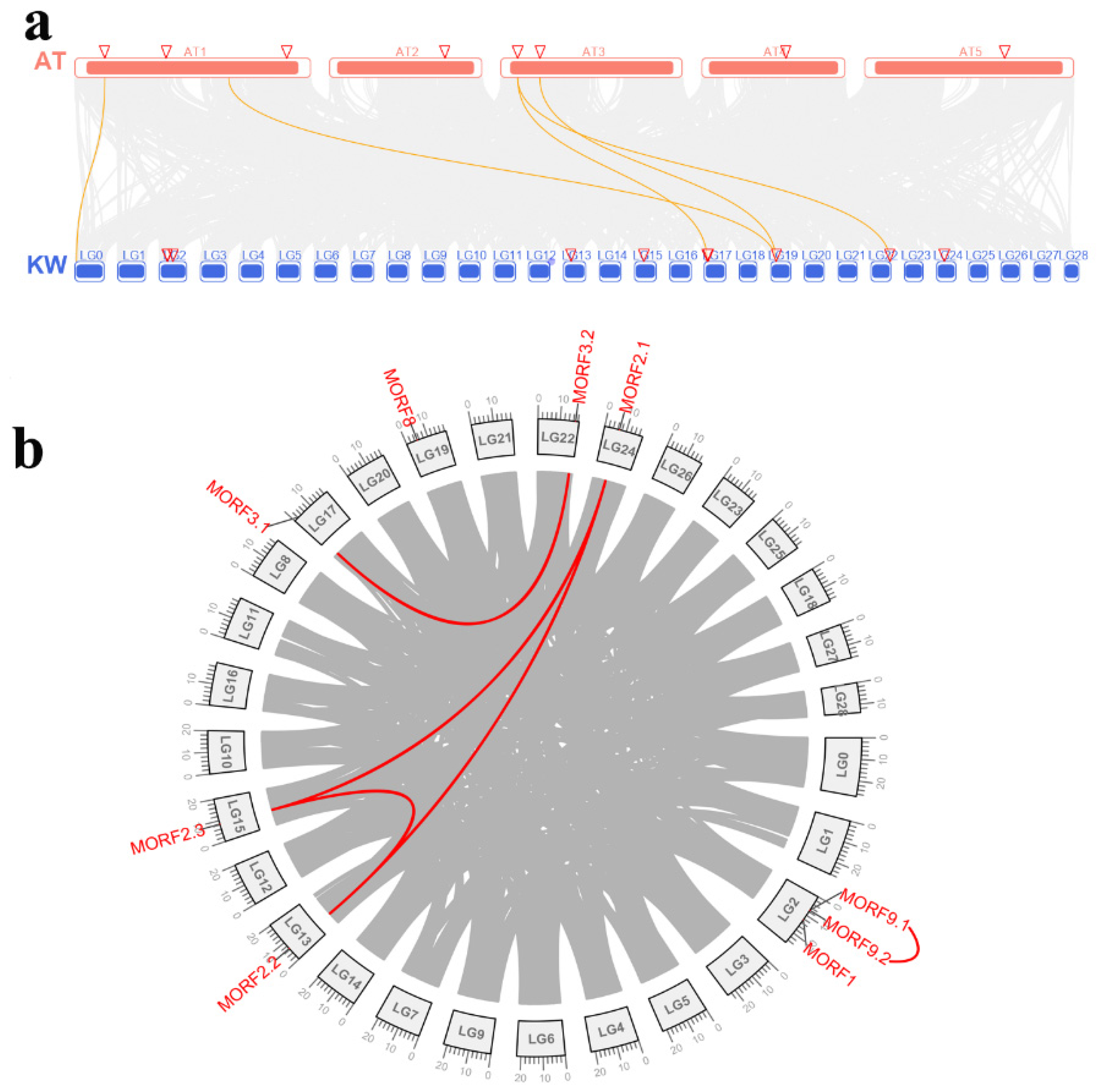 Plants 11 00146 g005
