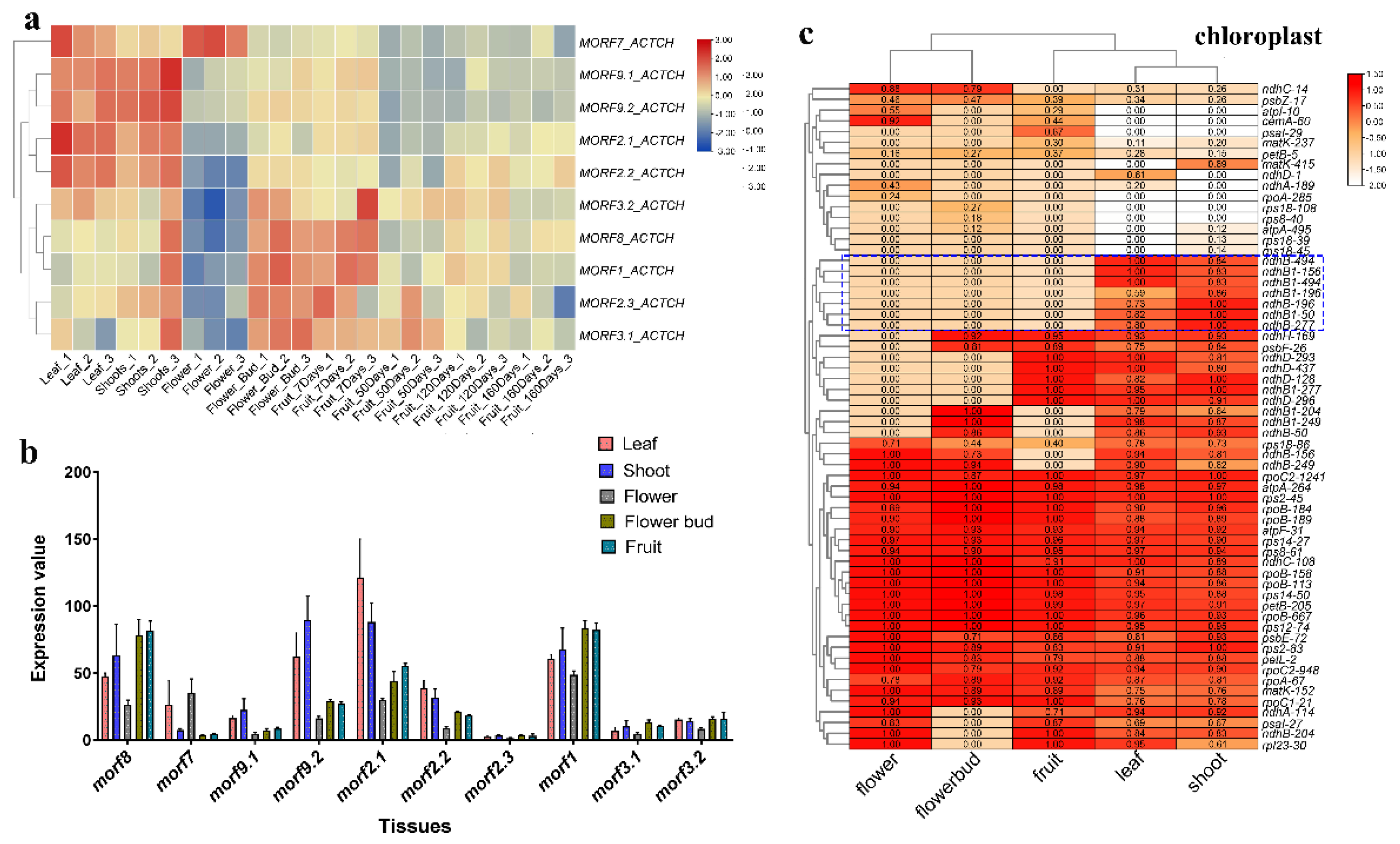 Plants 11 00146 g006