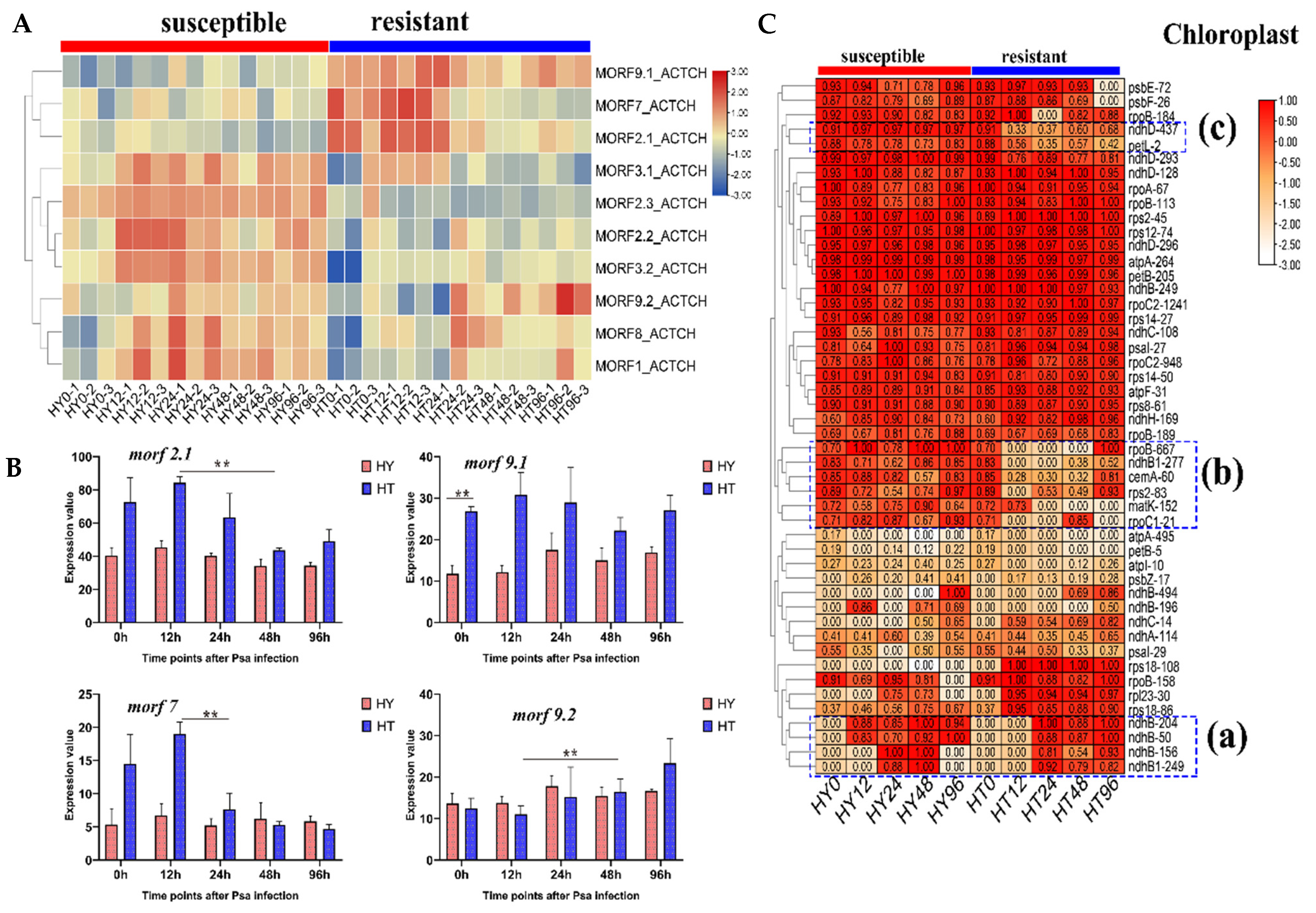 Plants 11 00146 g007