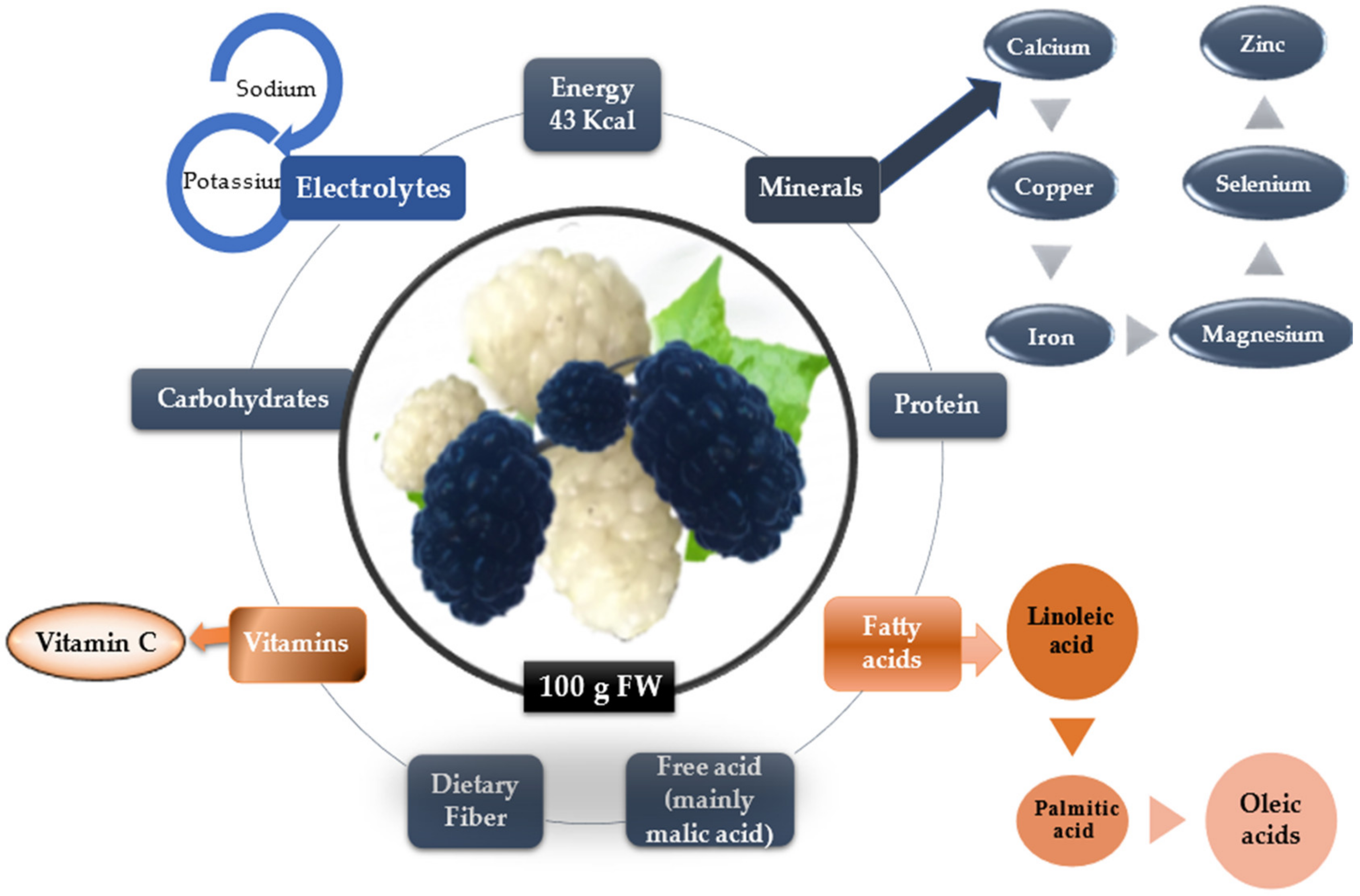 Plants 11 00152 g002