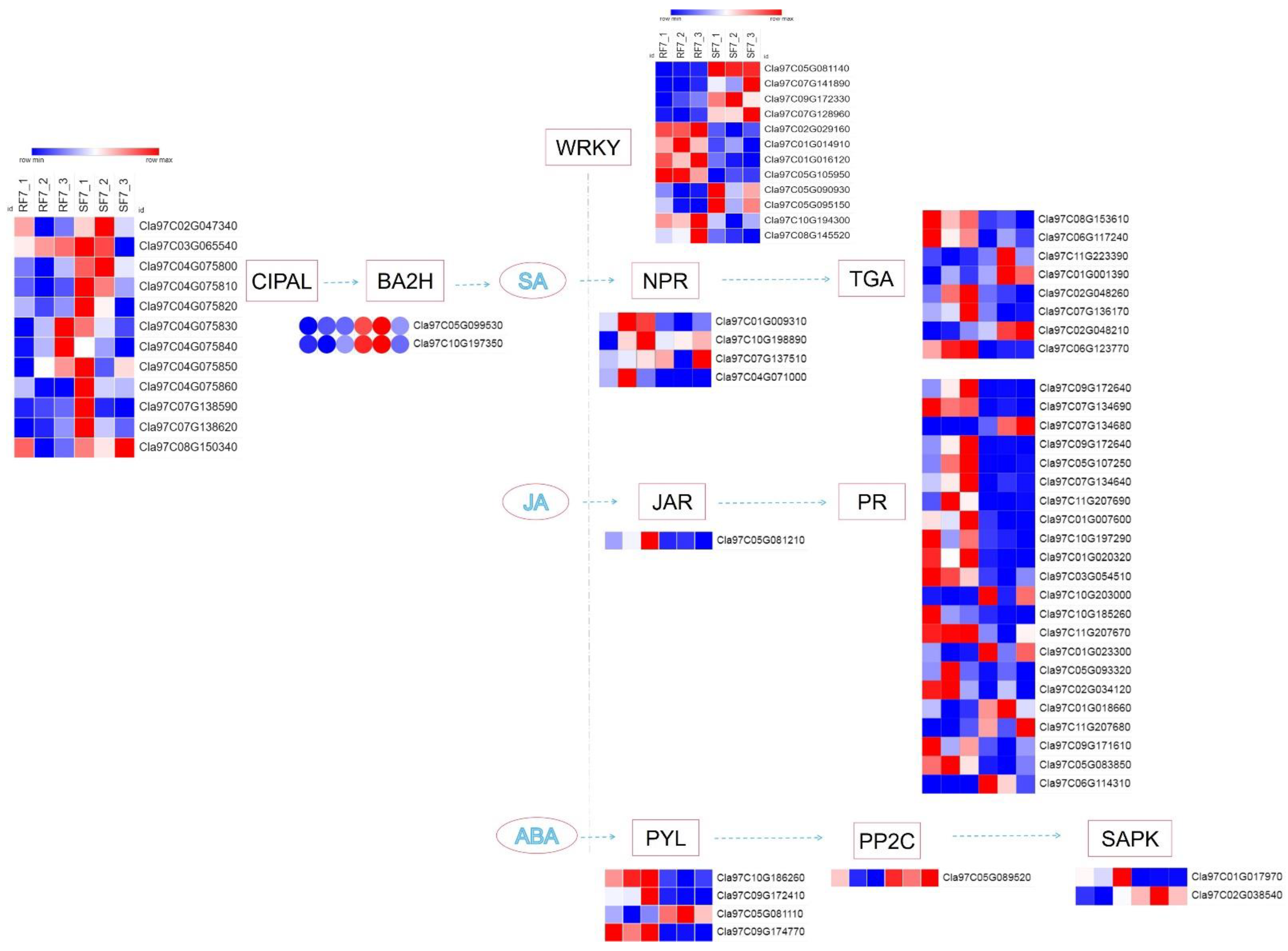 Plants 11 00156 g008 Plants 11 00156 g008