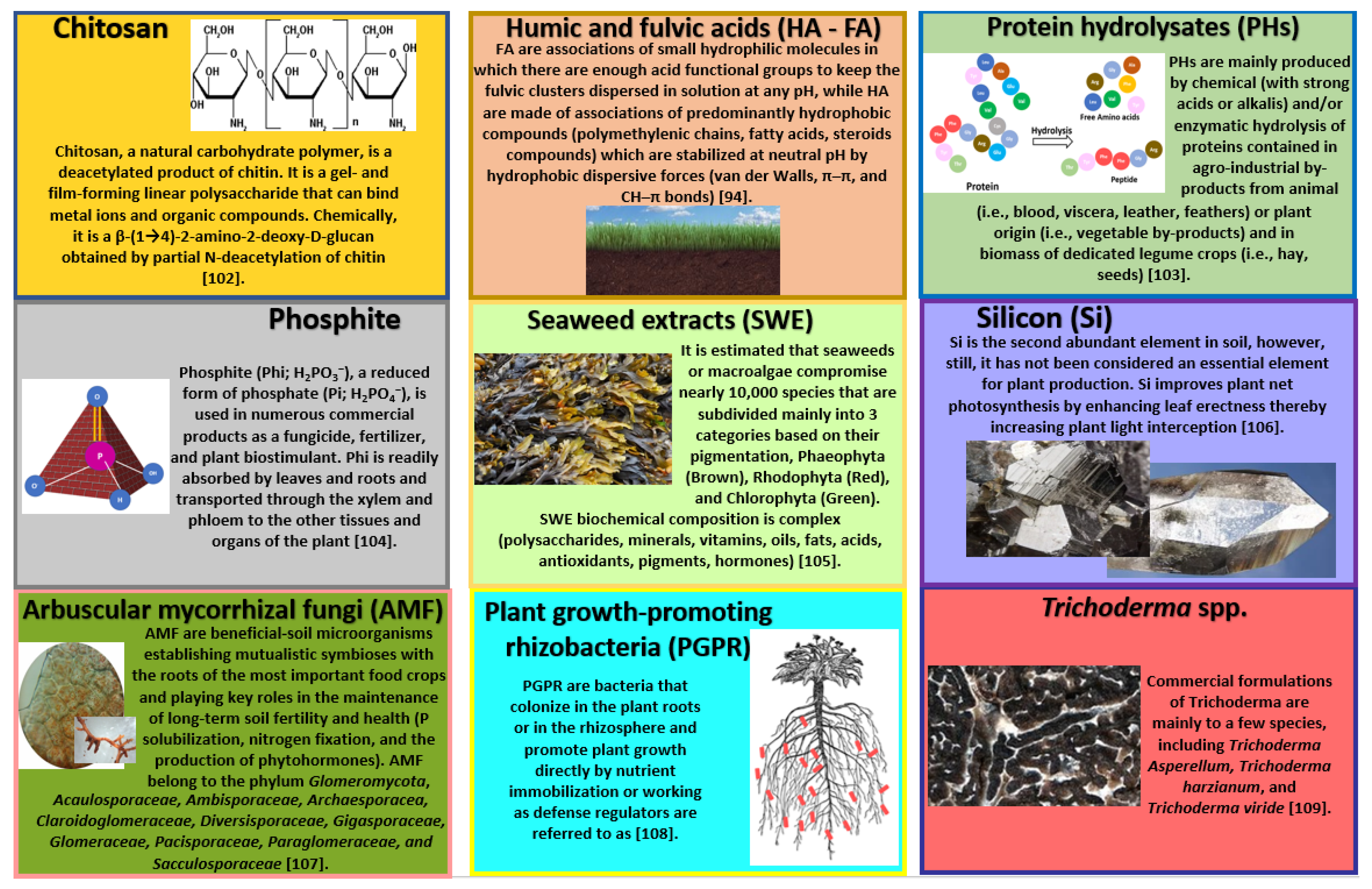 Plants 11 00162 g002 Plants 11 00162 g002