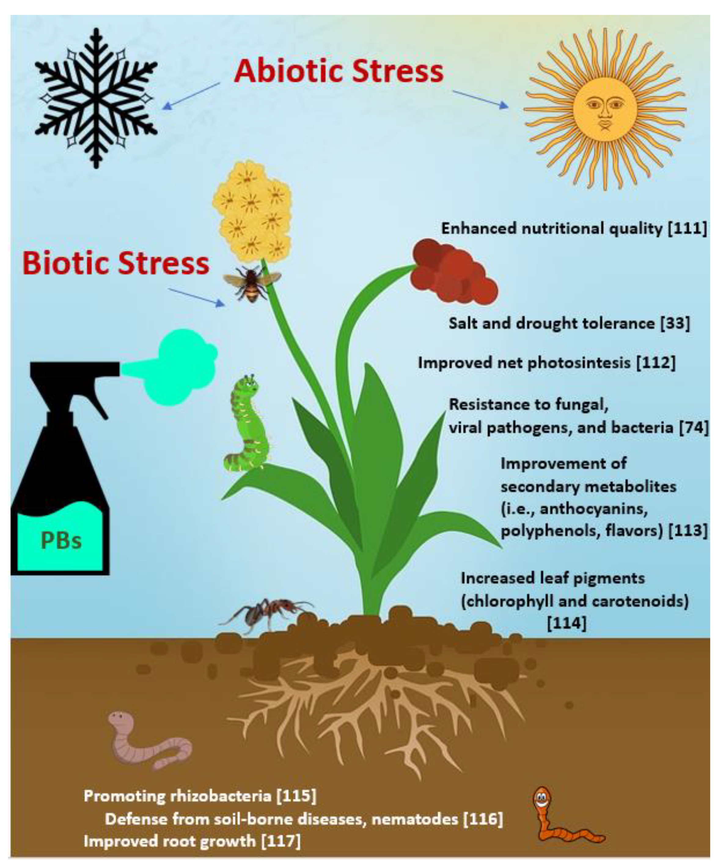 Plants 11 00162 g003 Plants 11 00162 g003