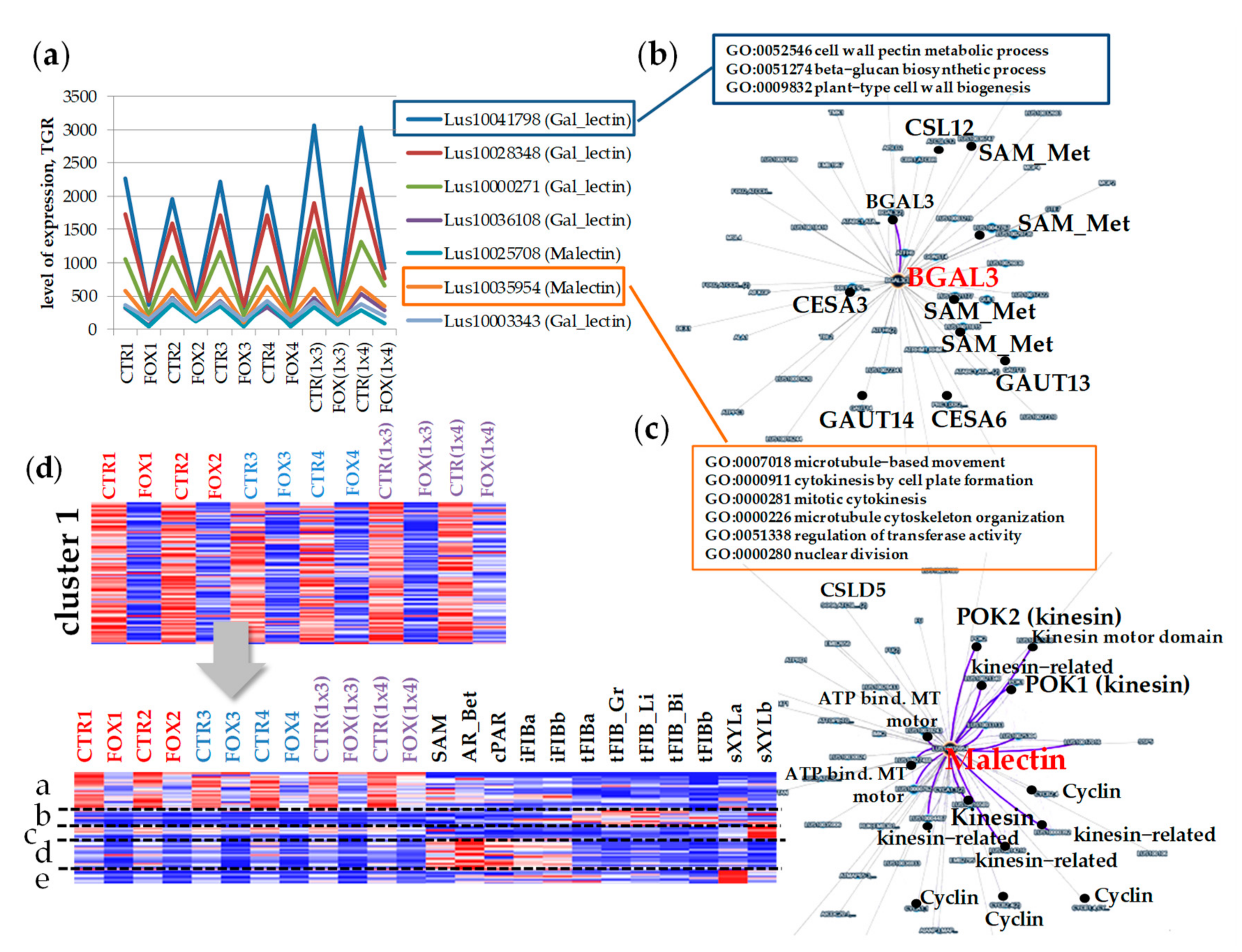 Plants 11 00163 g002