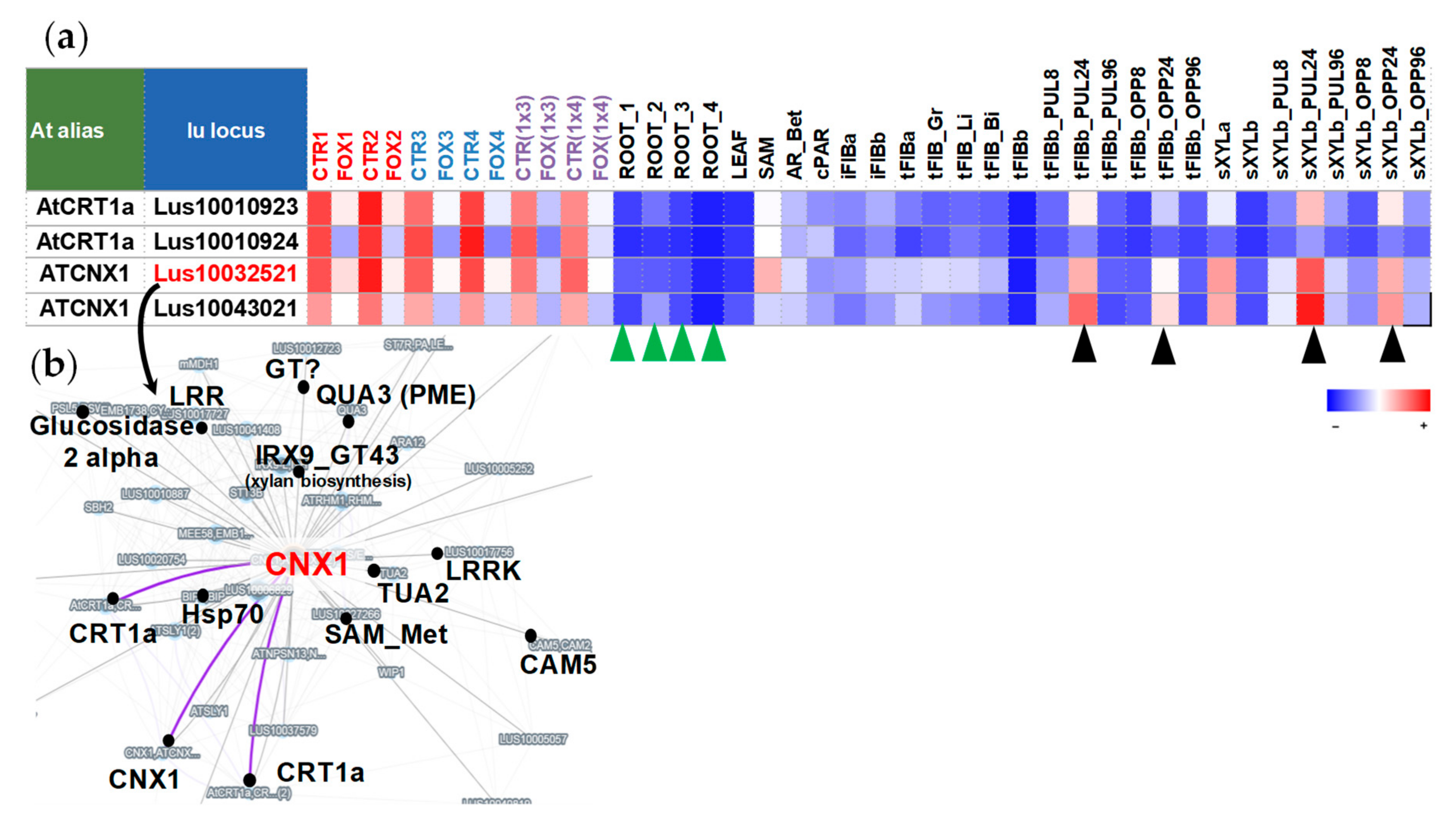 Plants 11 00163 g004