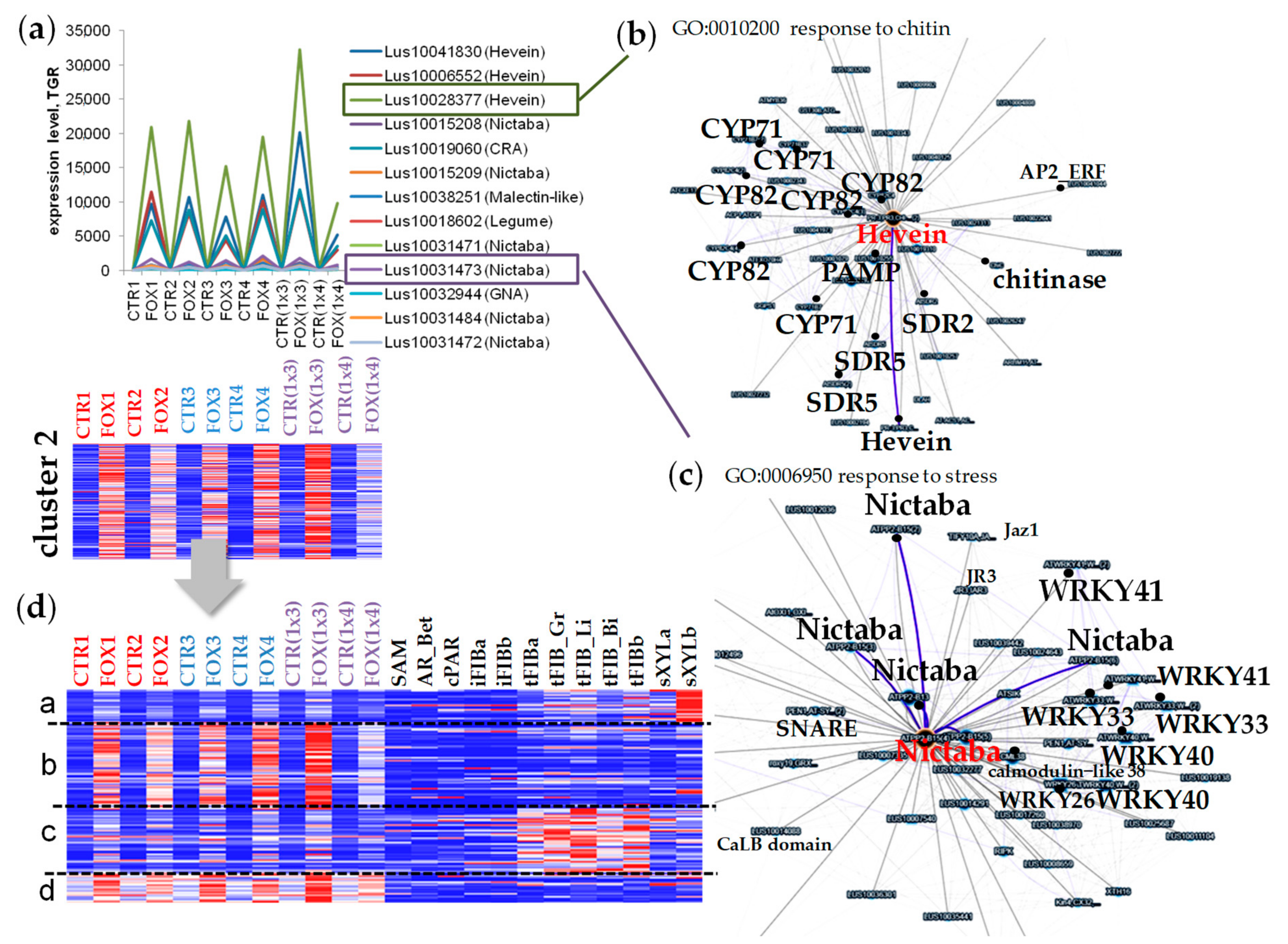 Plants 11 00163 g005