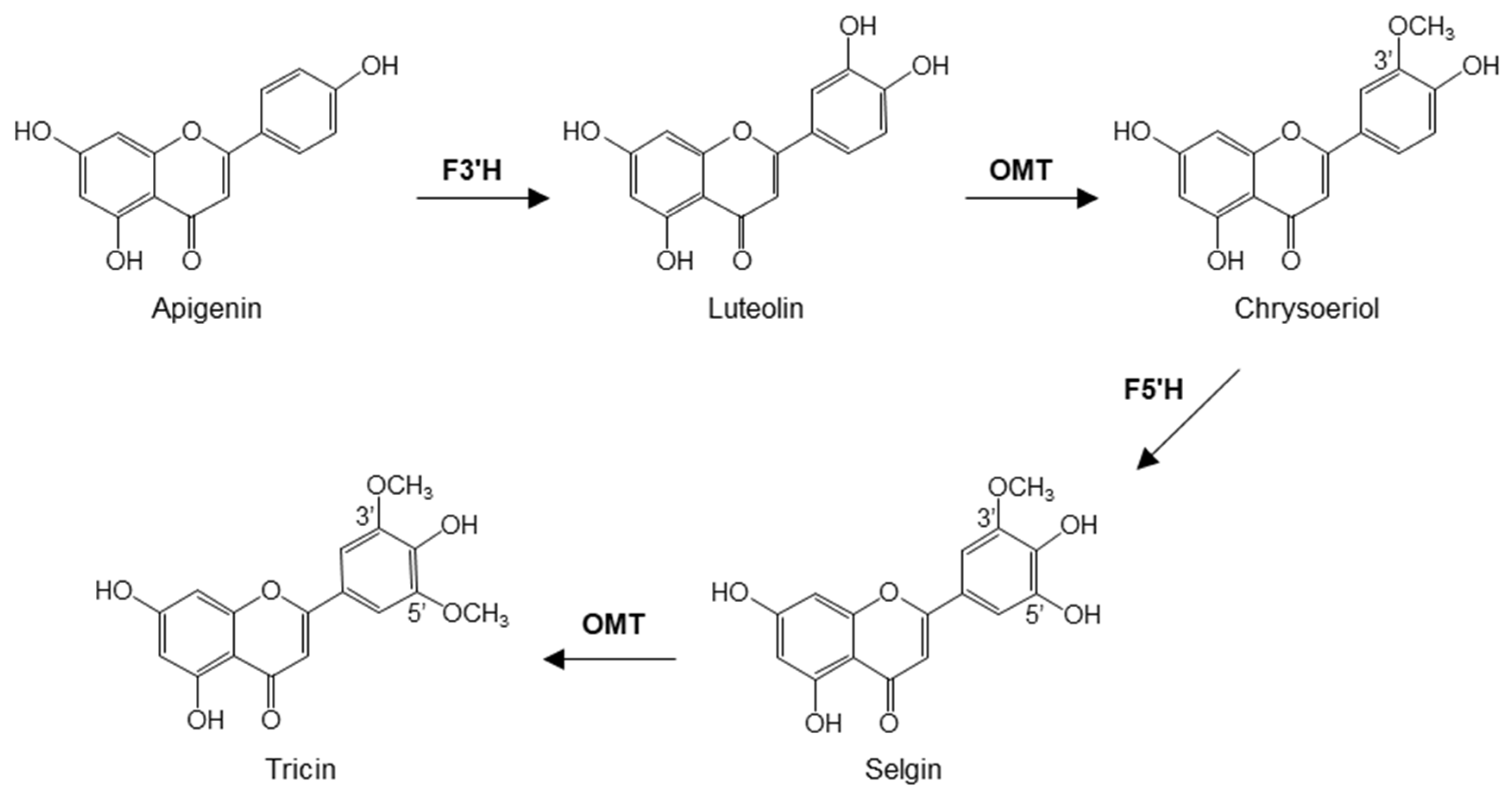 Plants 11 00164 g001