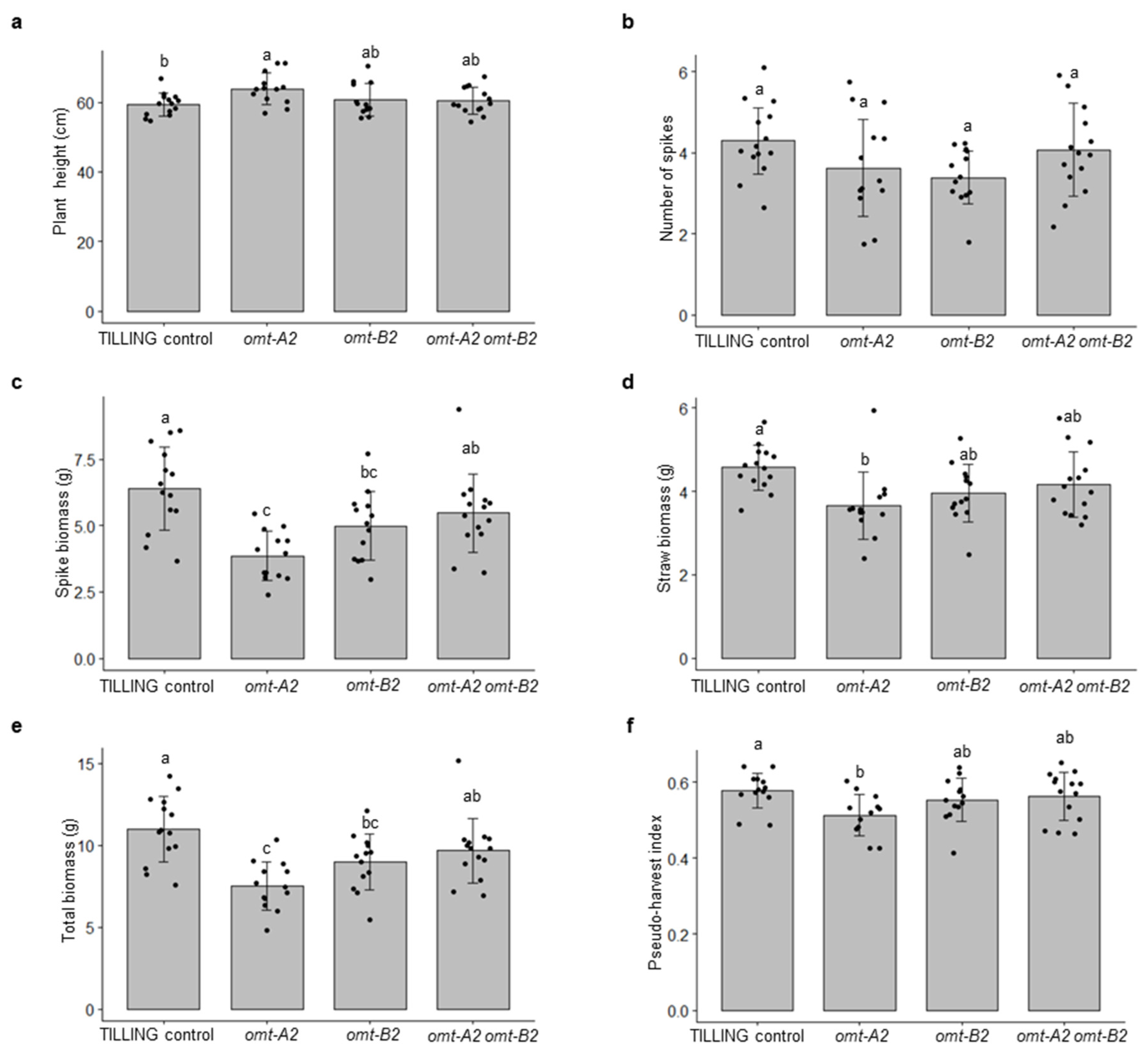Plants 11 00164 g003