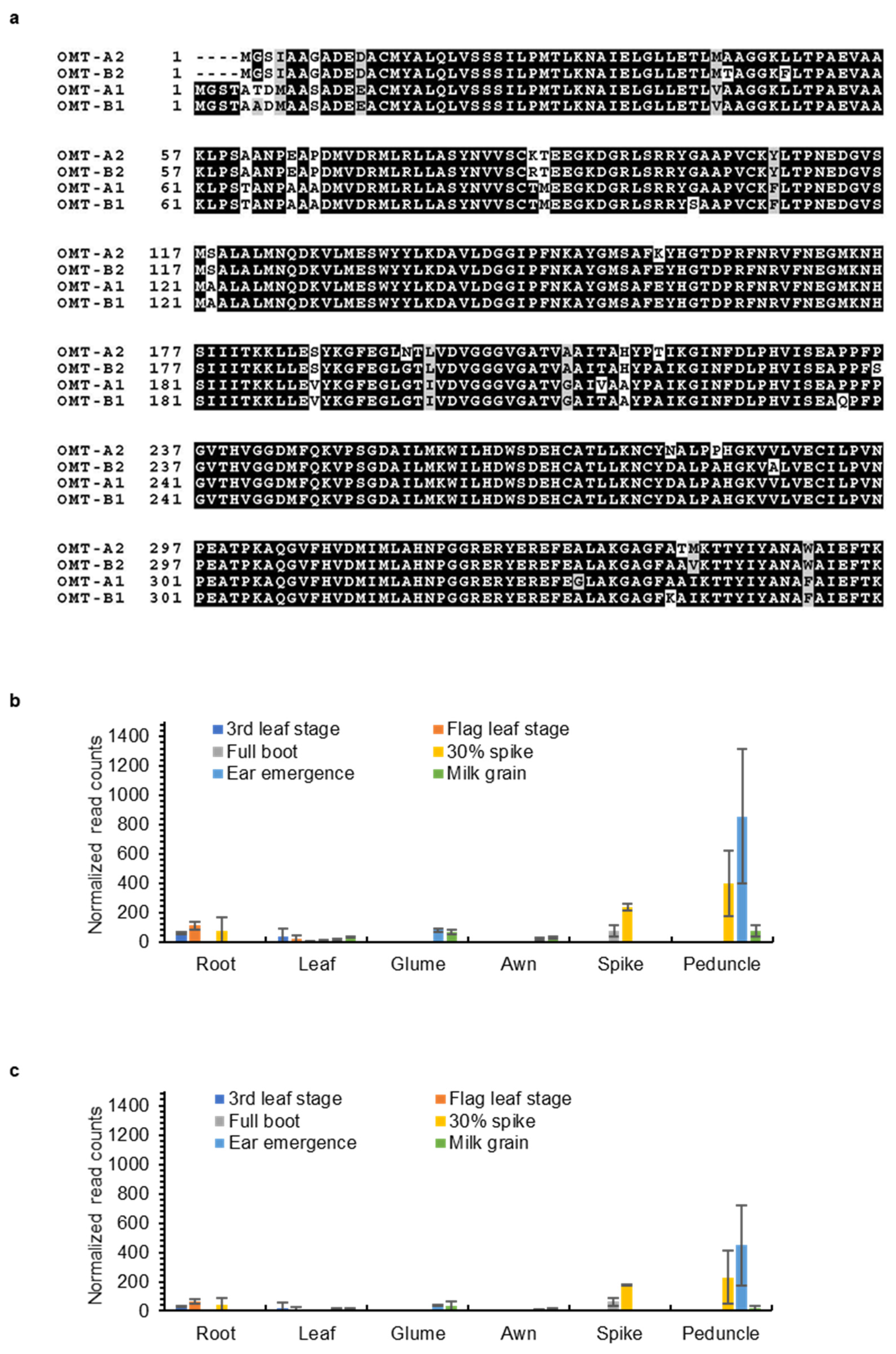 Plants 11 00164 g008