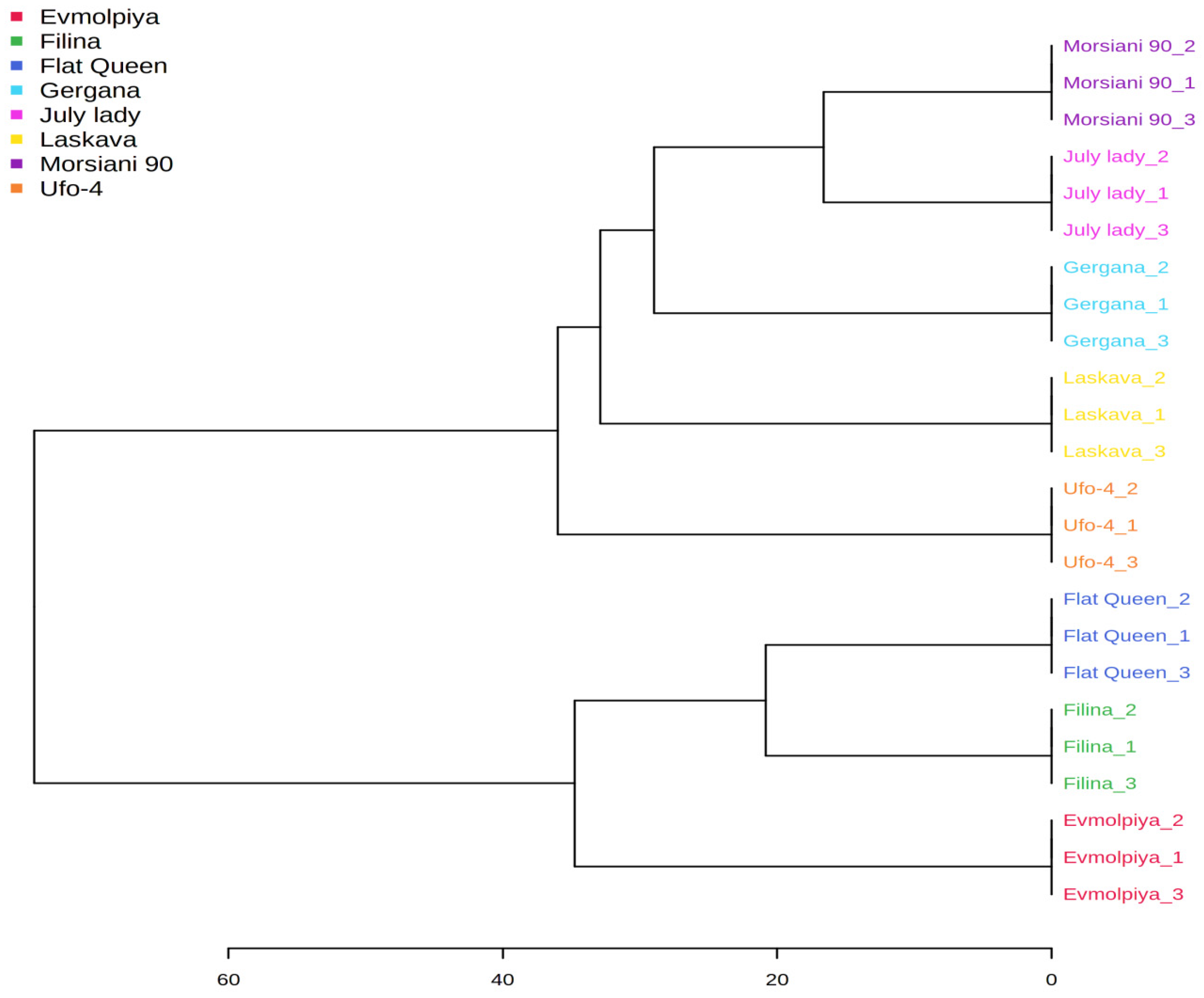Plants 11 00166 g006 550