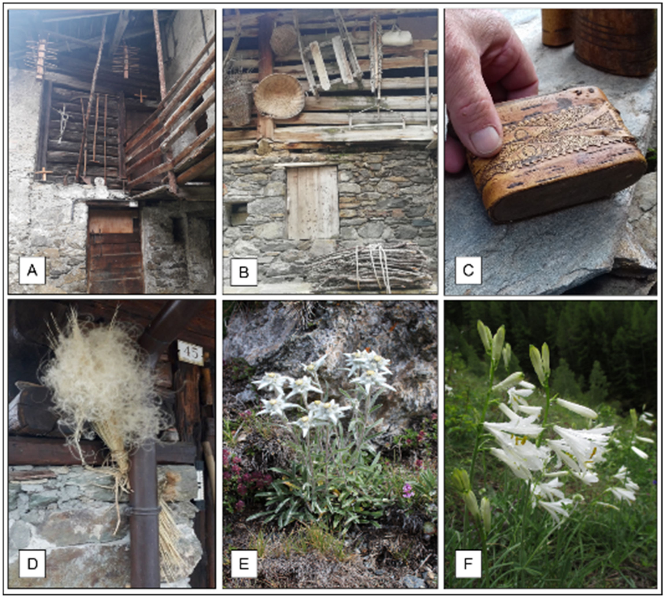 Plants 11 00170 g005