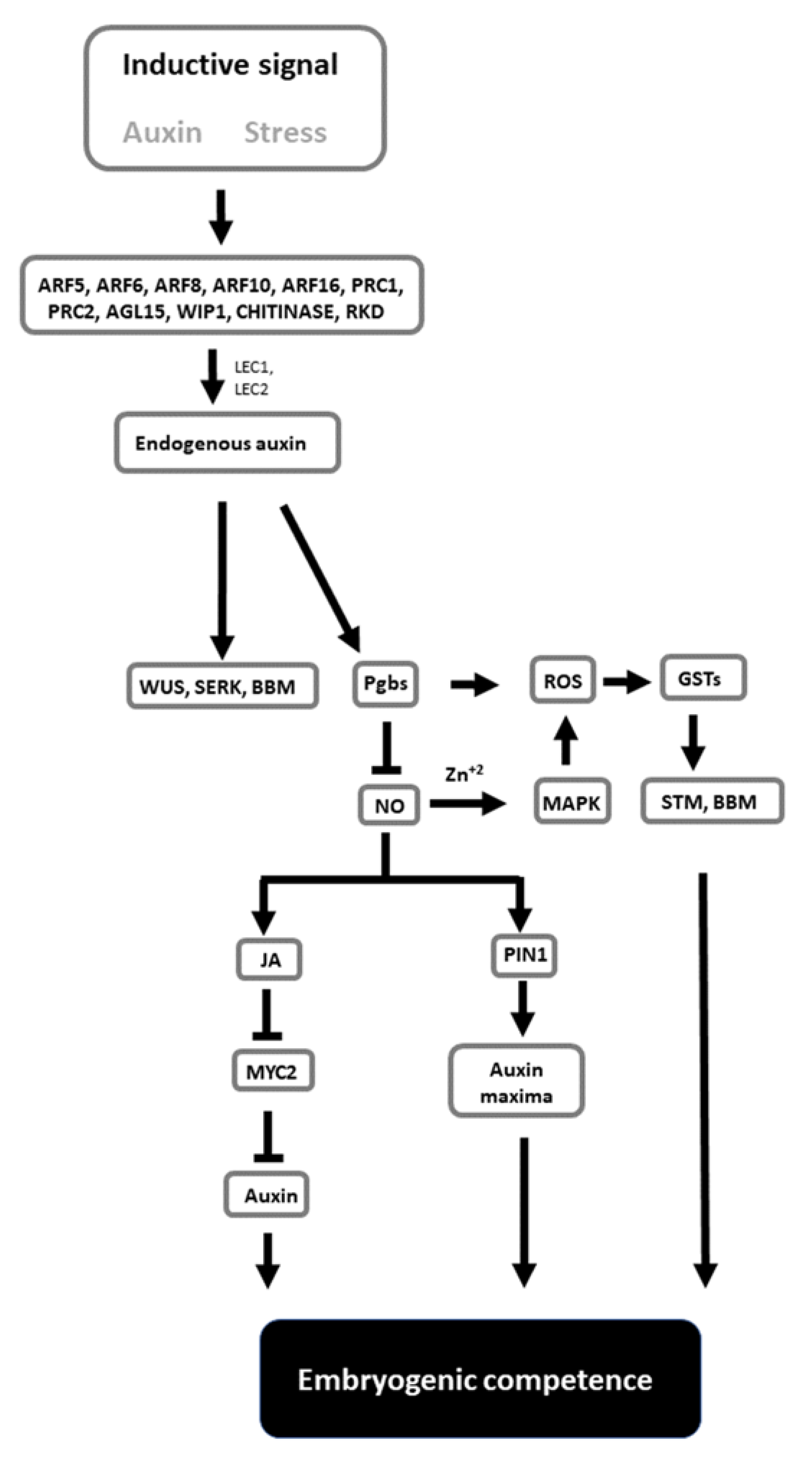 Plants 11 00178 g001 Plants 11 00178 g001